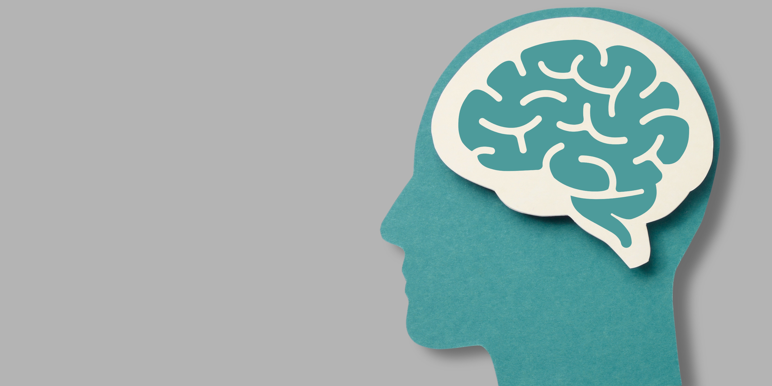 Neuroscience, Transformational Pain Reprocessing Program - let go of pain.