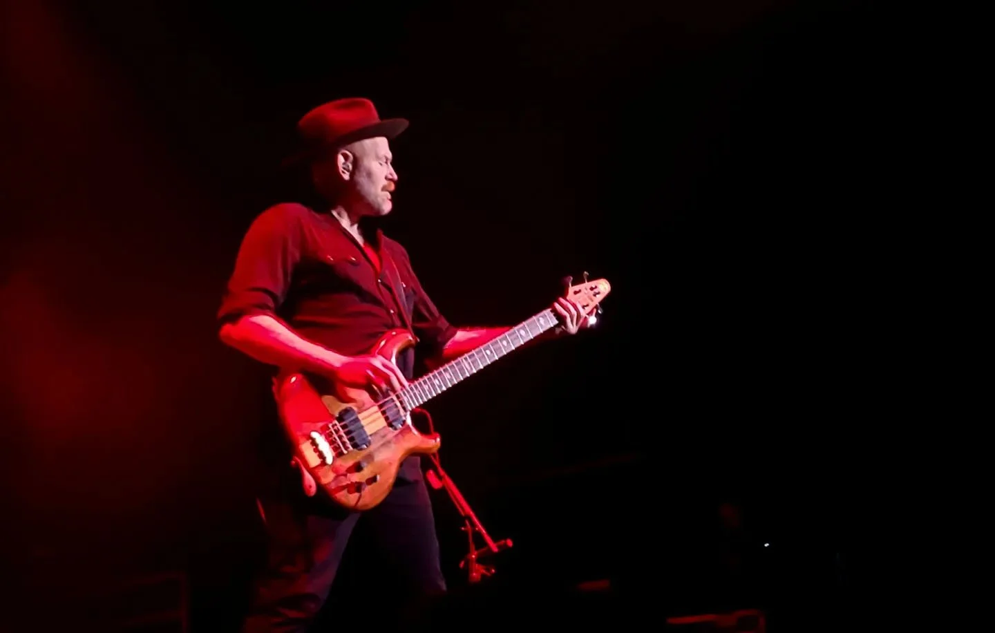 Tripsitter Bassist.jpg