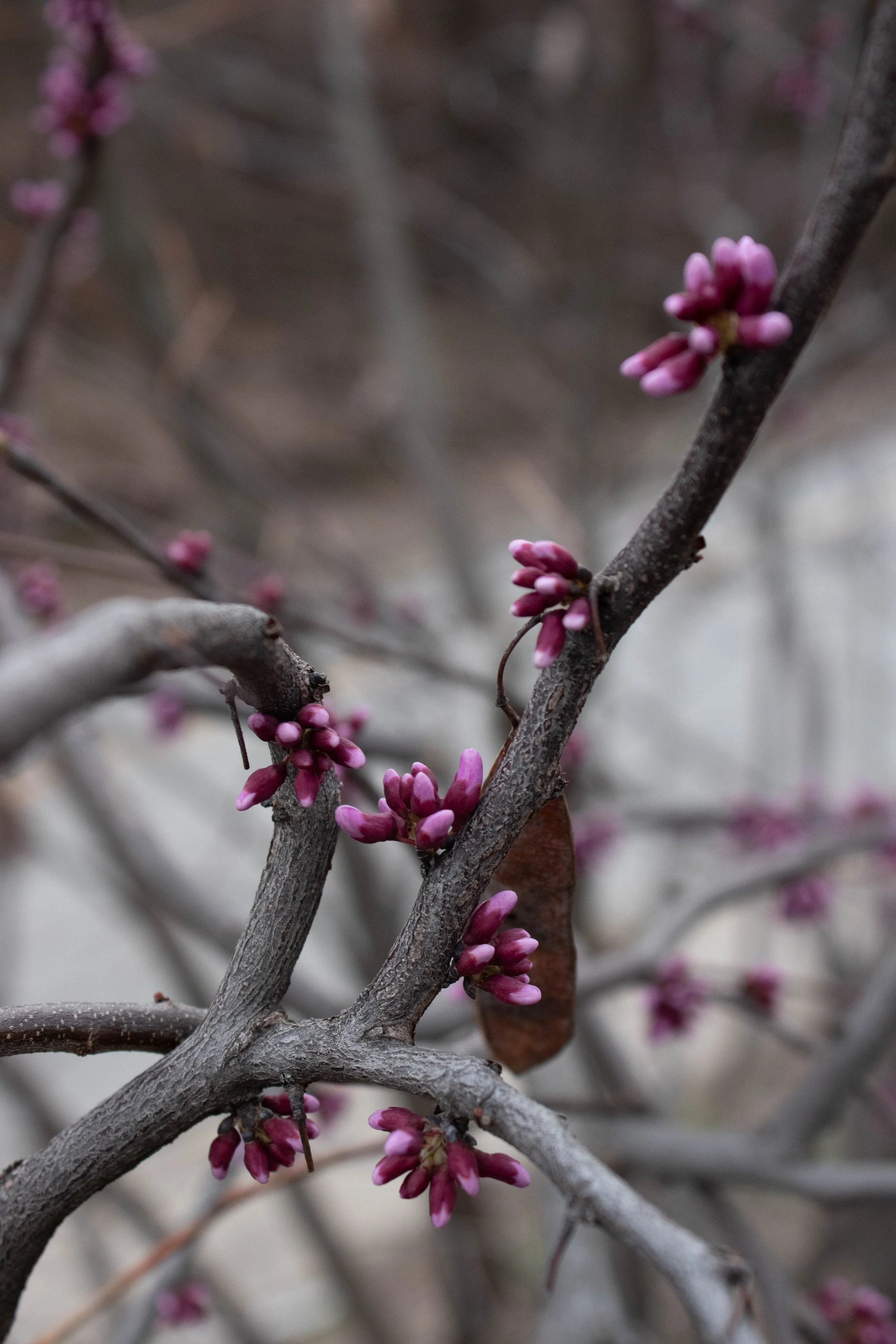 Nature-10.jpg