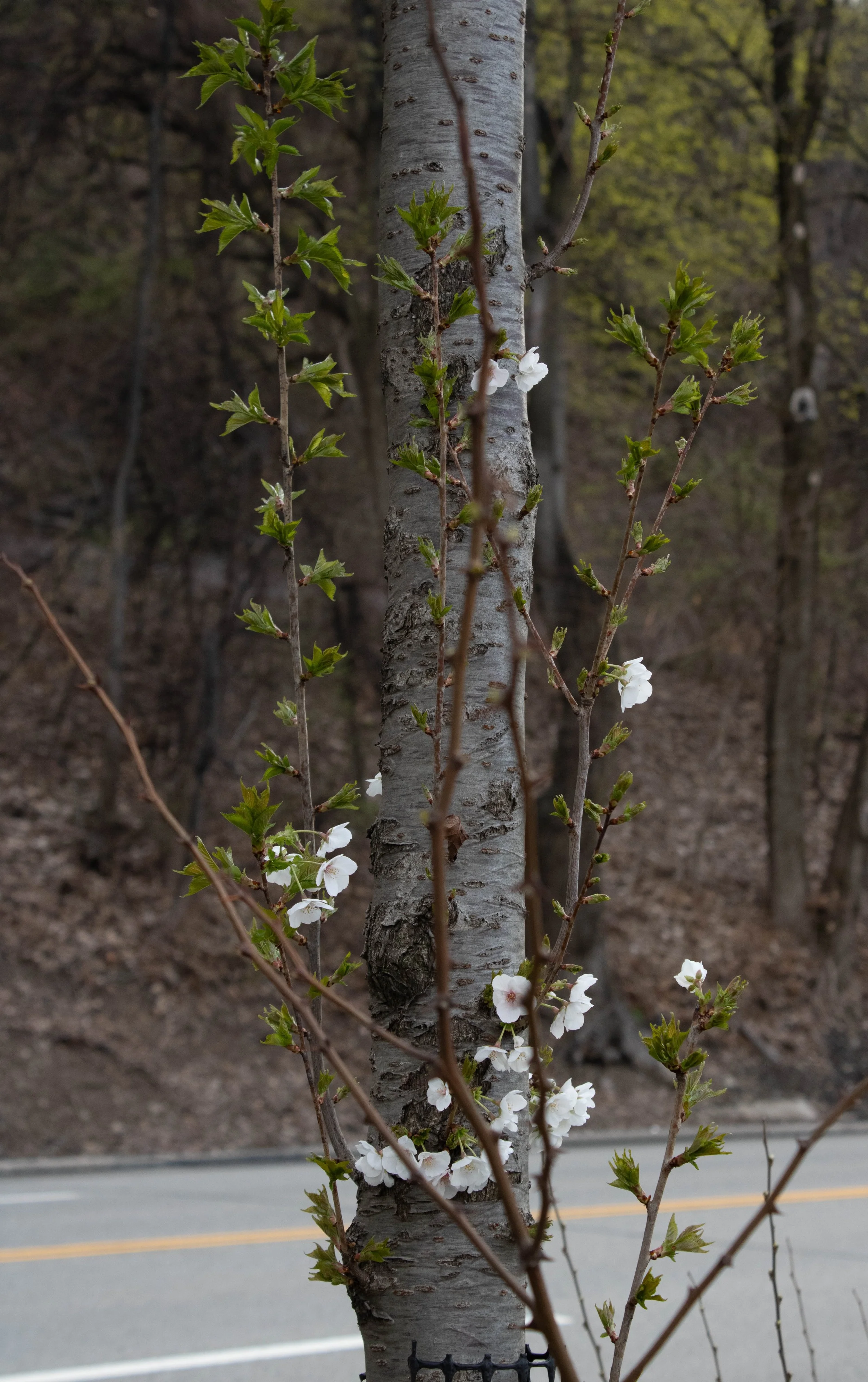 Nature-8.jpg
