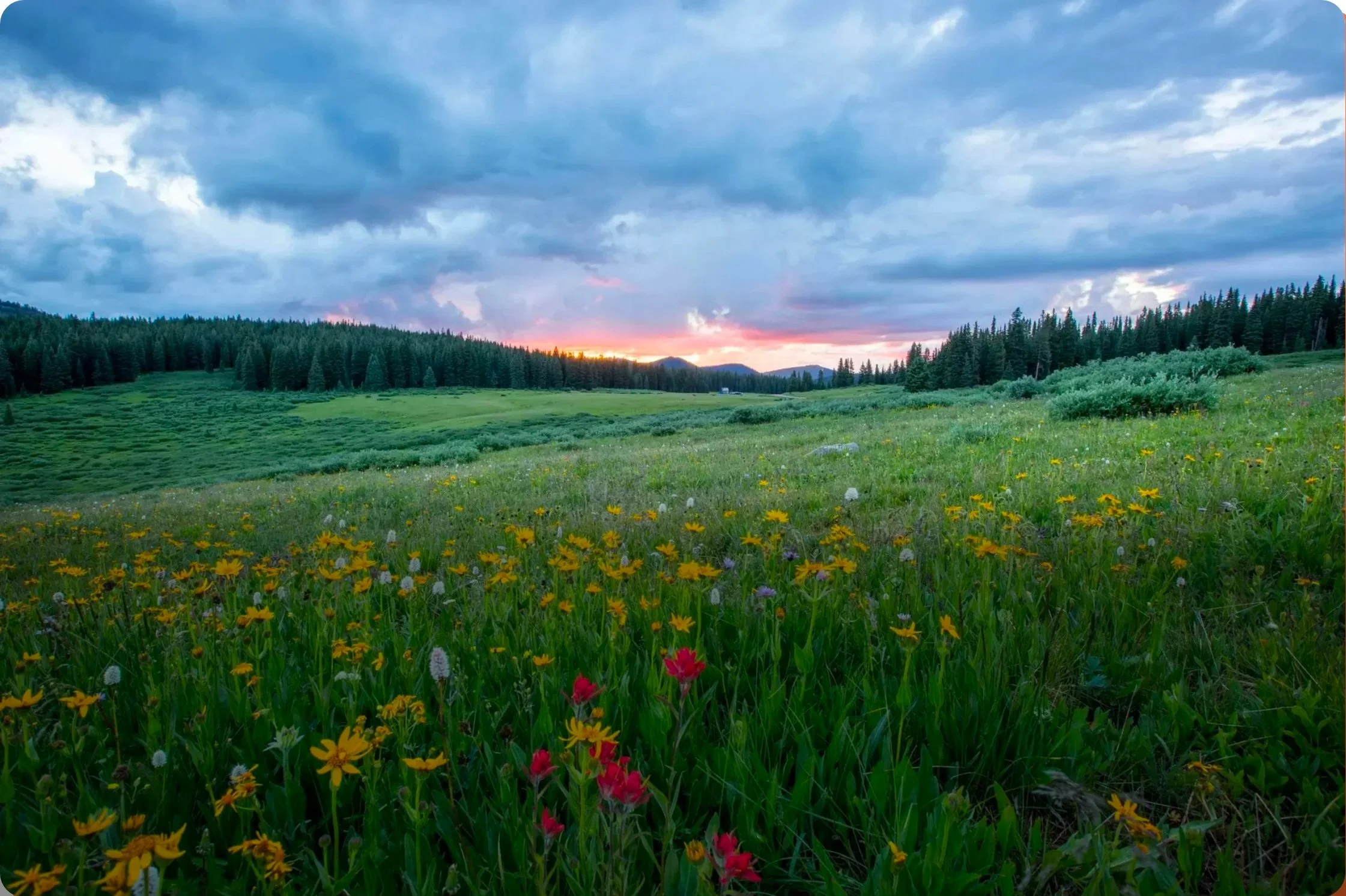 blog home image1.jpg