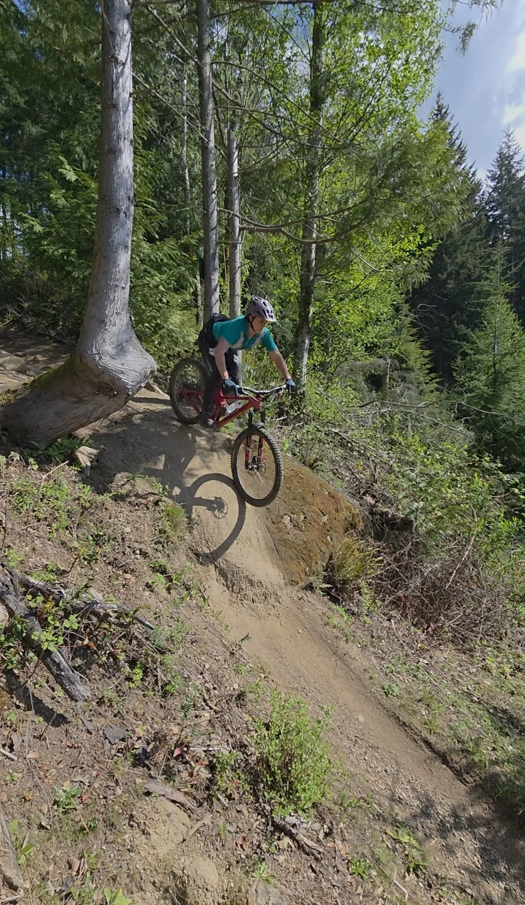 A person mountain biking down a dirt trail in a forest with green trees and sunlight filtering through.