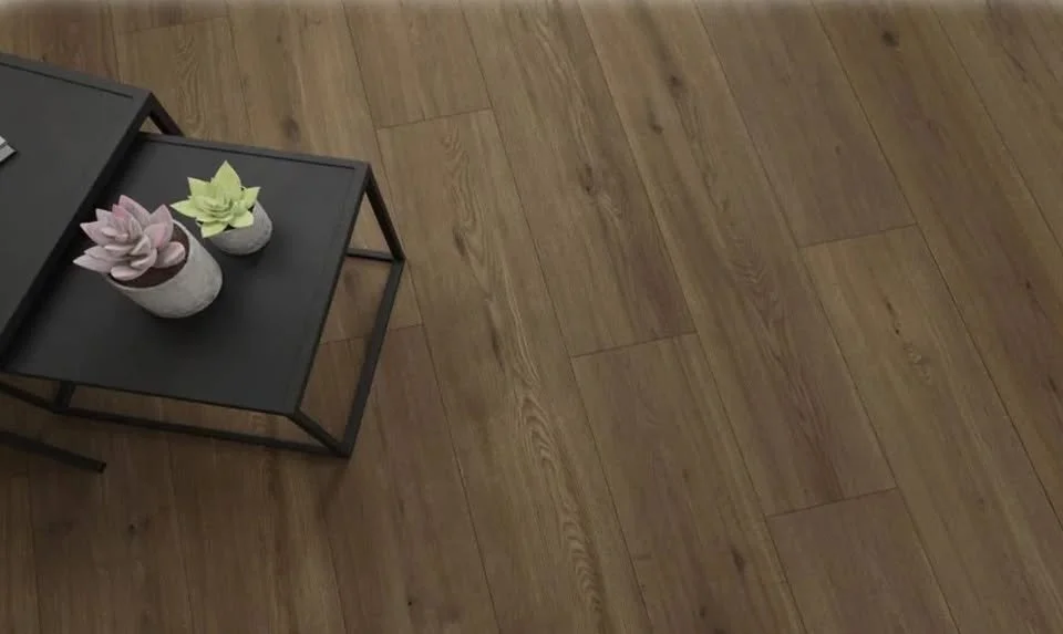 A black side table with three succulent plants in small pots on top, placed on a wooden floor.
