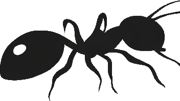 Silhouette of an ant on a dark background