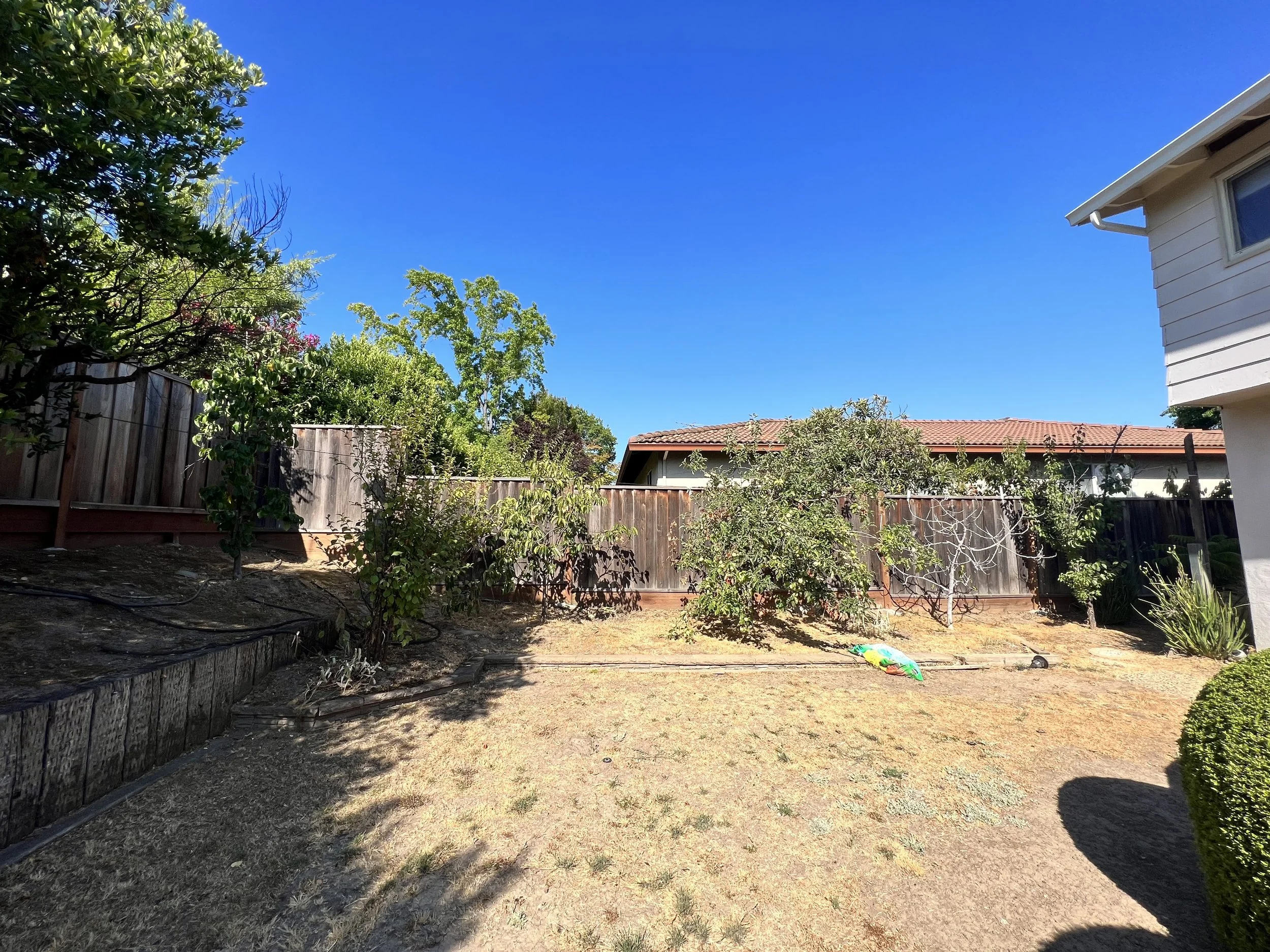 Backyard before
