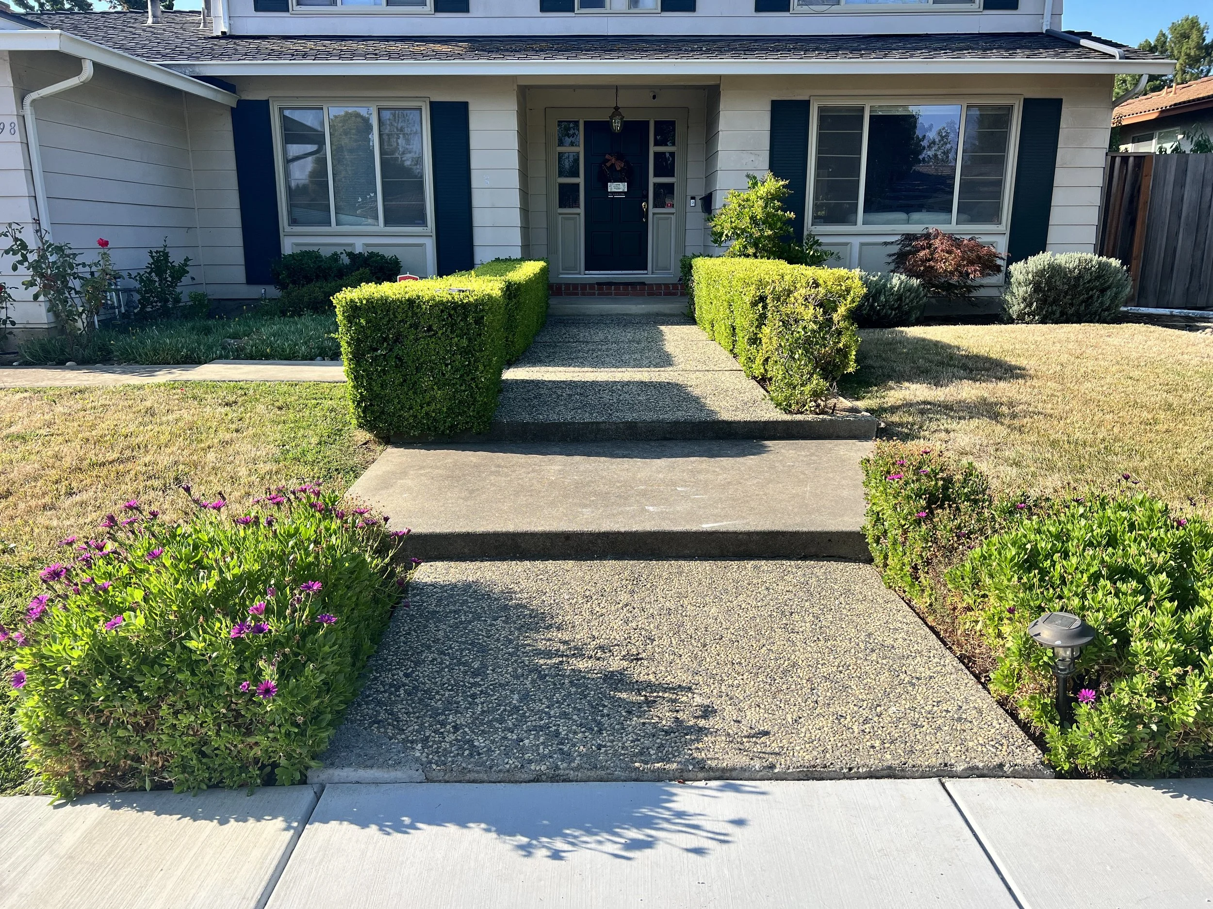 Front yard before