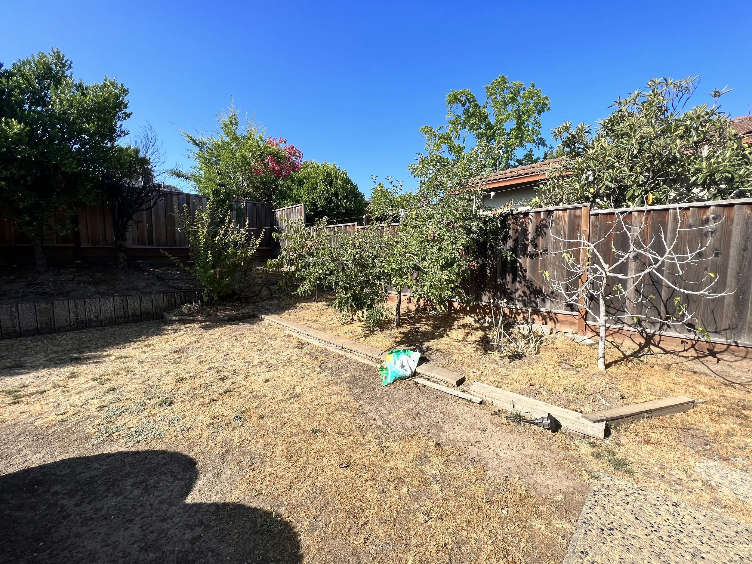Backyard before
