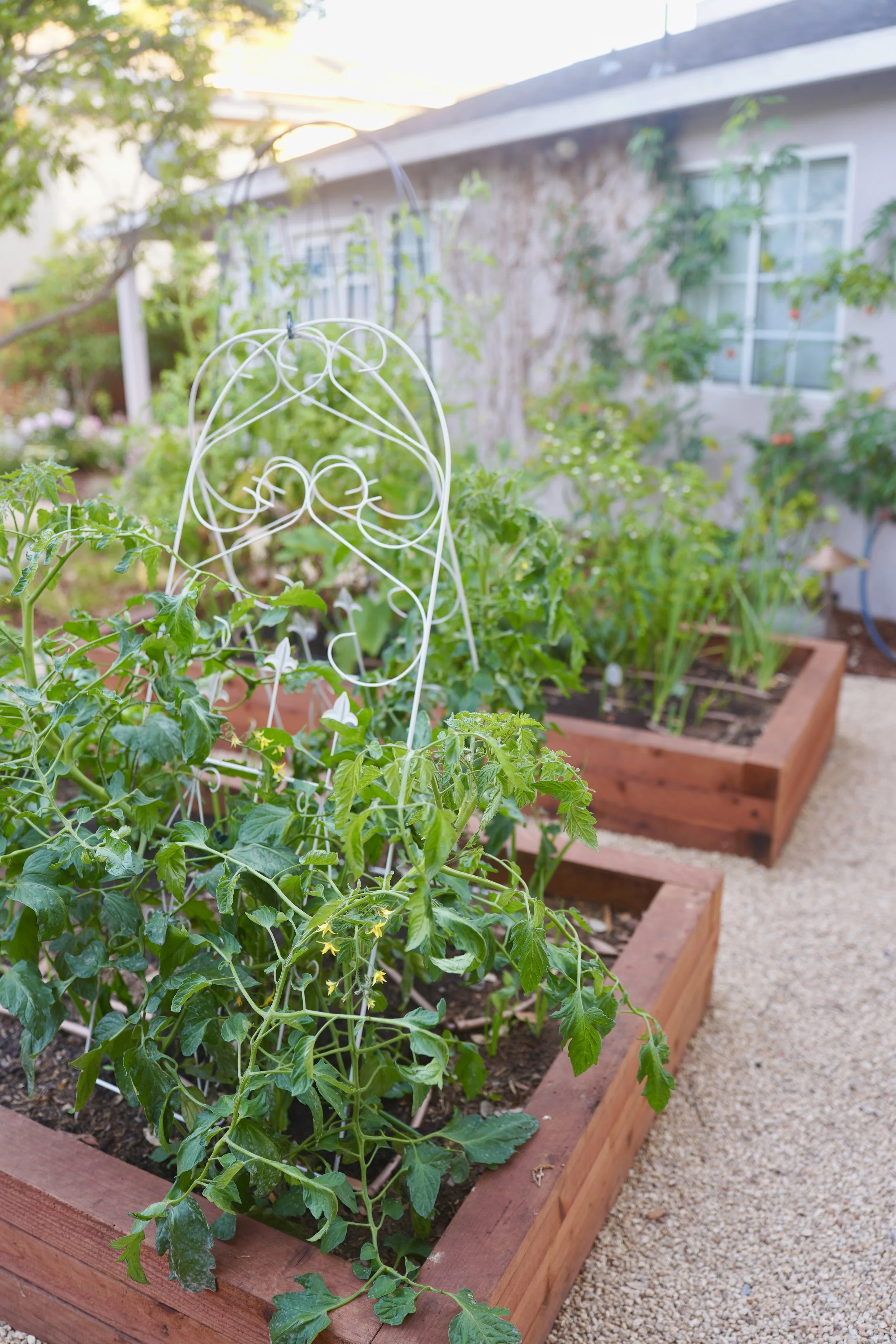 DSC03568.jpg