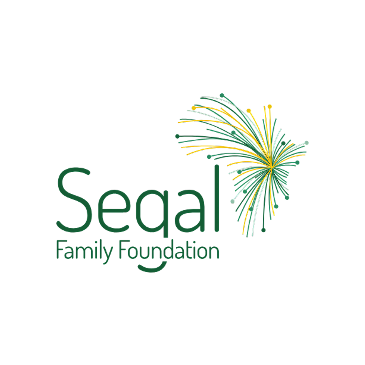 Logo of Seqal Family Foundation featuring stylized fireworks graphic and green text.