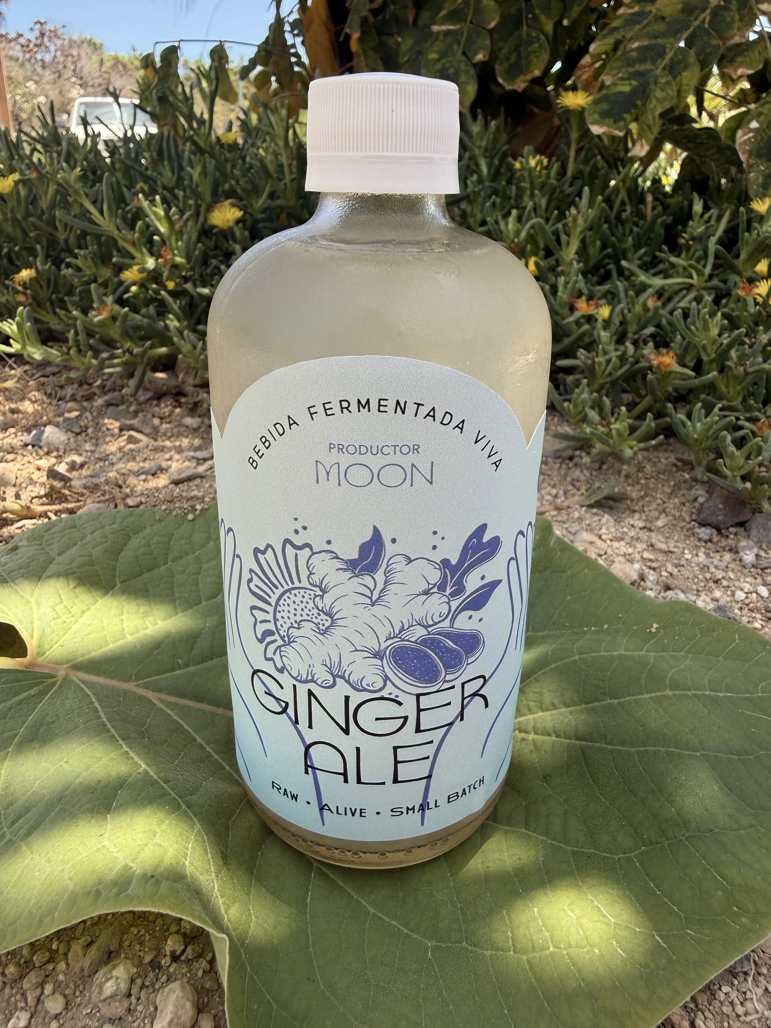 Ginger Ale (450ml)