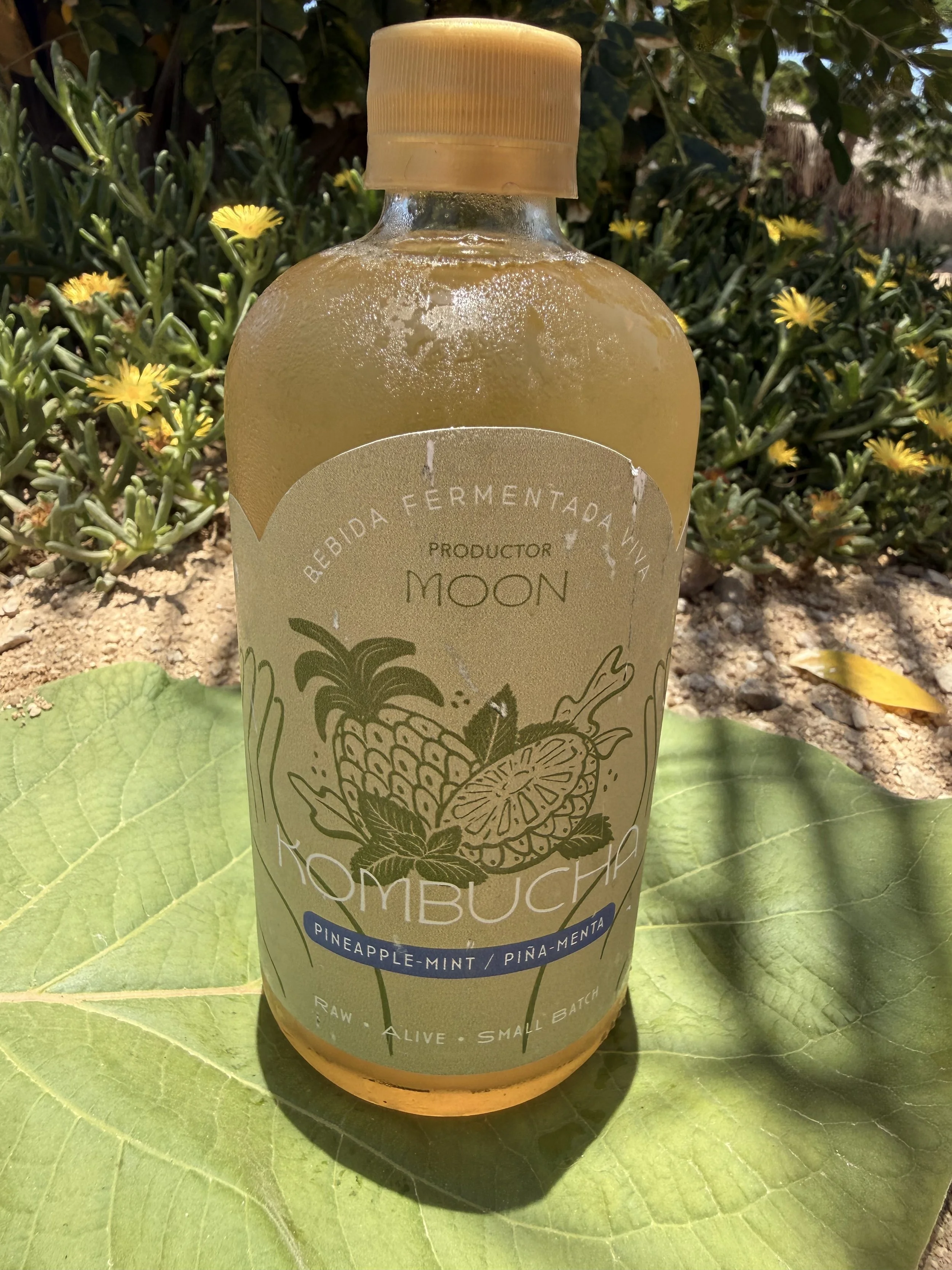 Kombucha – Pineapple-Mint/ Piña-Menta (450ml)