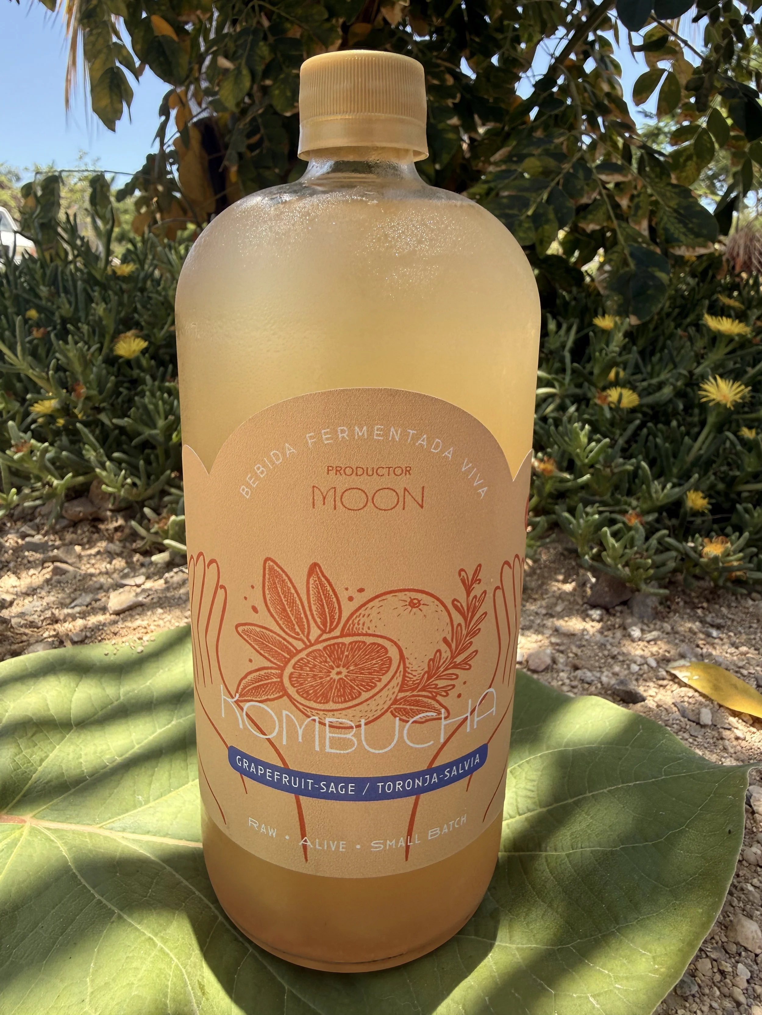 Kombucha – Grapefruit-Sage/ Toronja- Salvia (1 L)