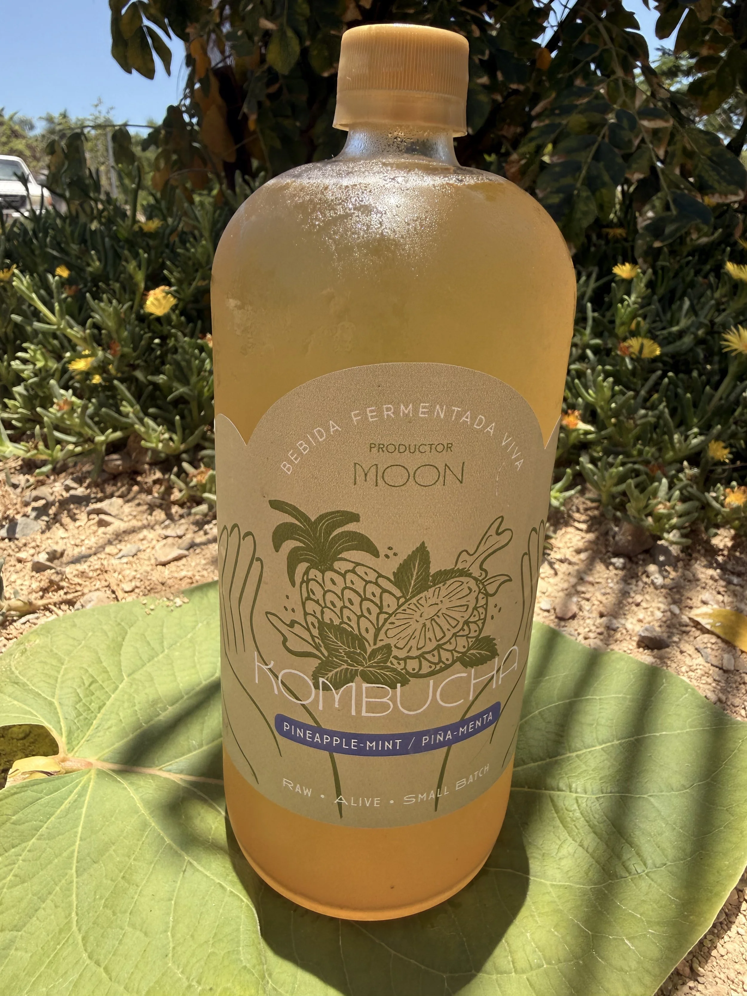 Kombucha Pineapple -Mint/ Pina-Menta (1L)