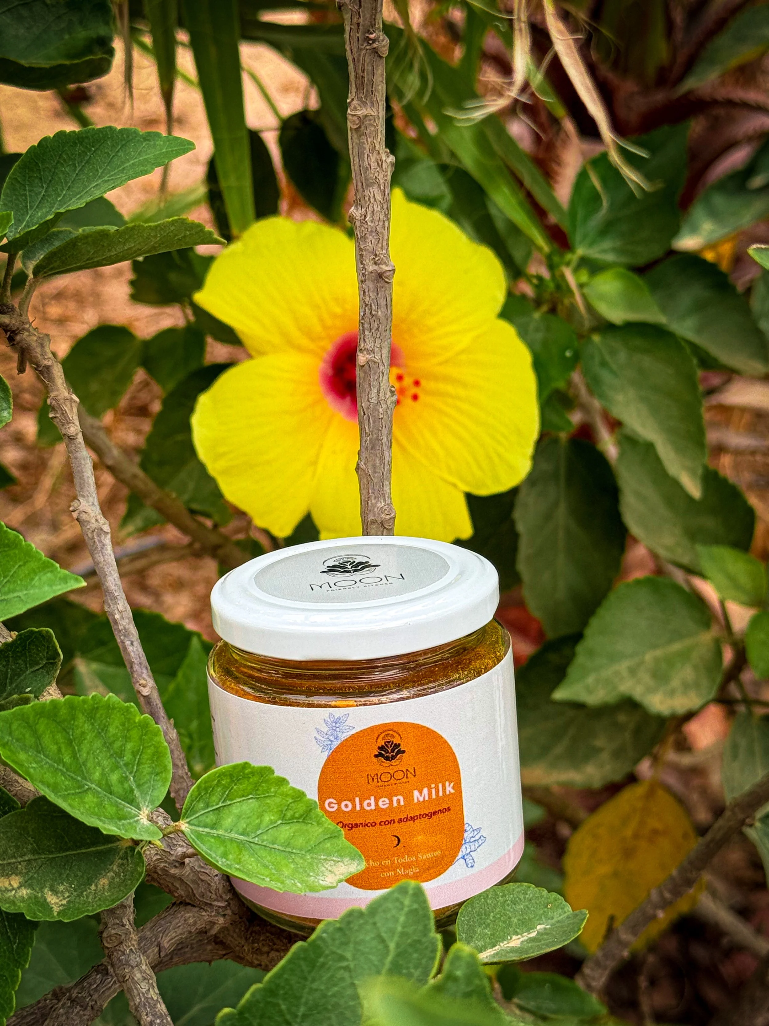 Golden Milk with adaptogens