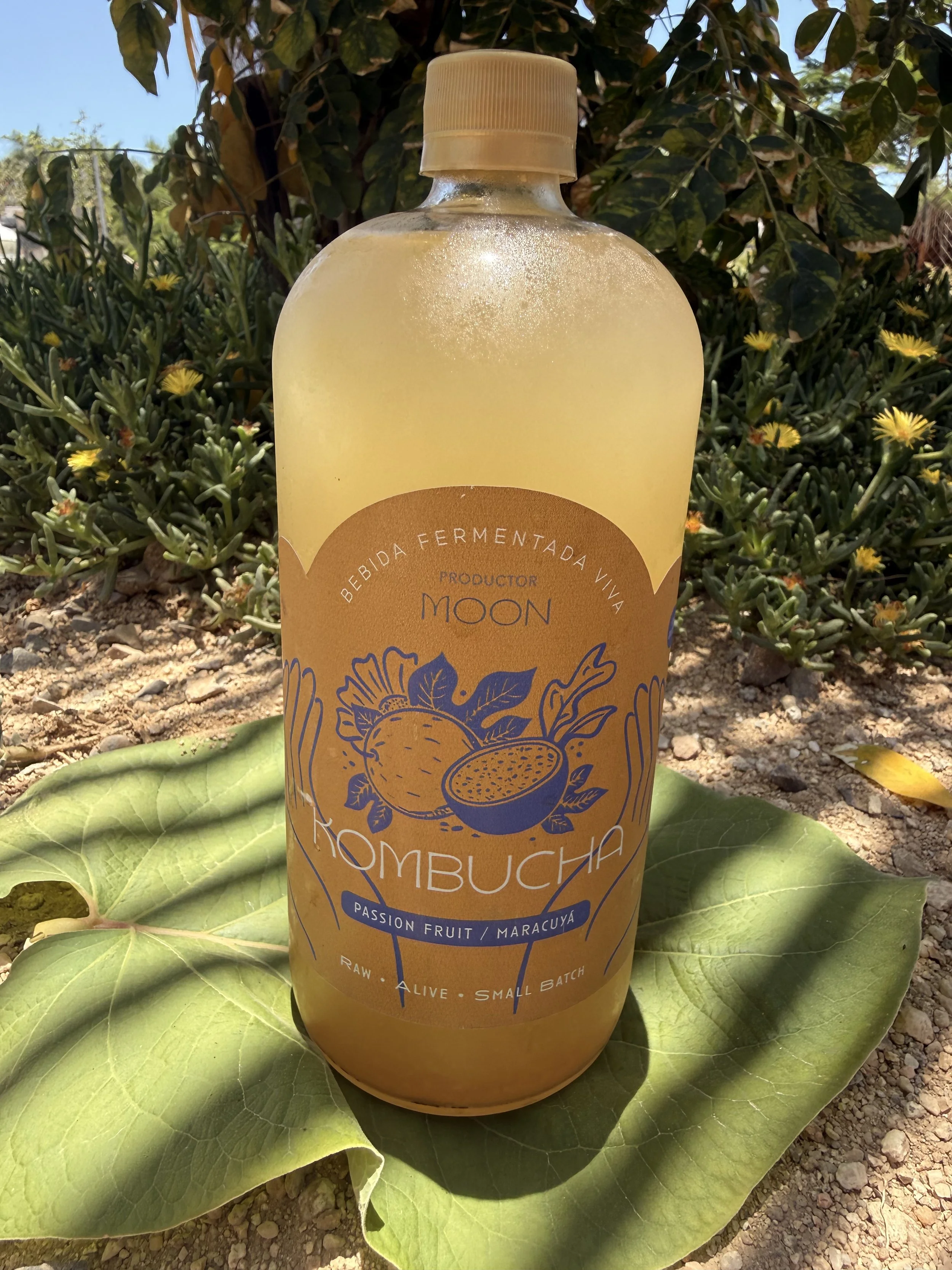 Kombucha Maracuya/Passion fruit (1L)