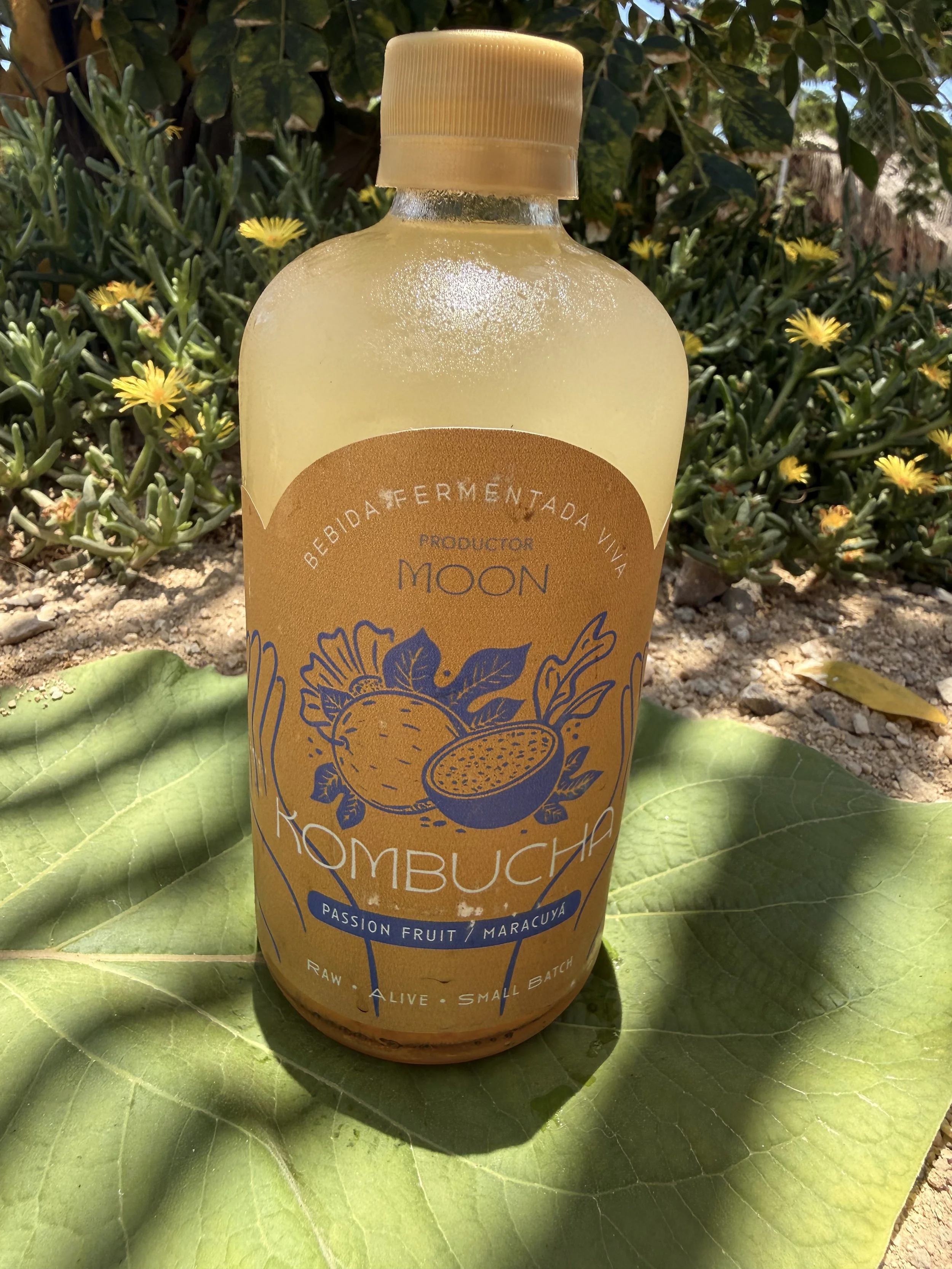 Kombucha Passion Fruit/ Maracuya (450ml)