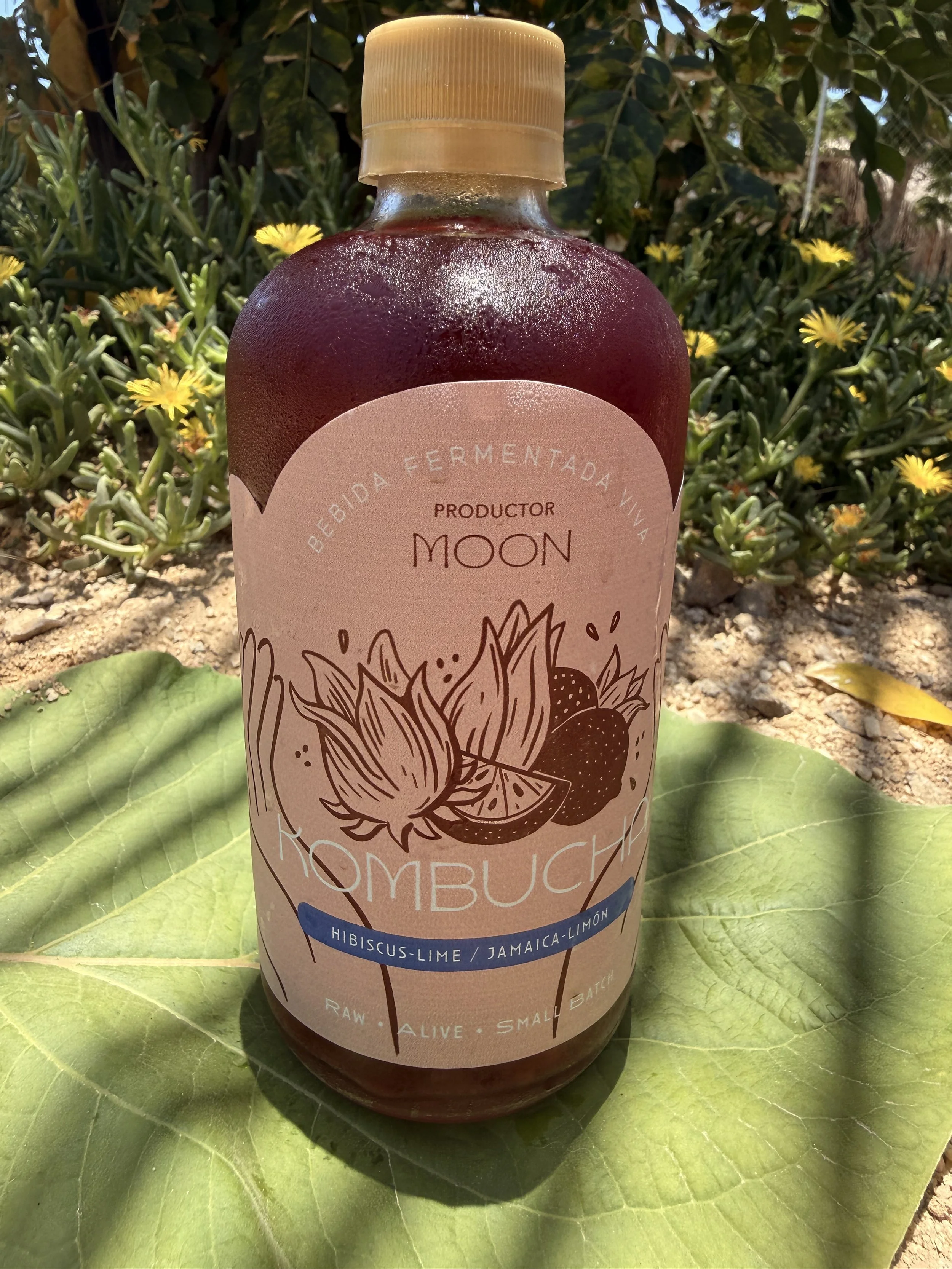 Kombucha – Hibiscus-Lime/Jamaica-Limon (450ml)
