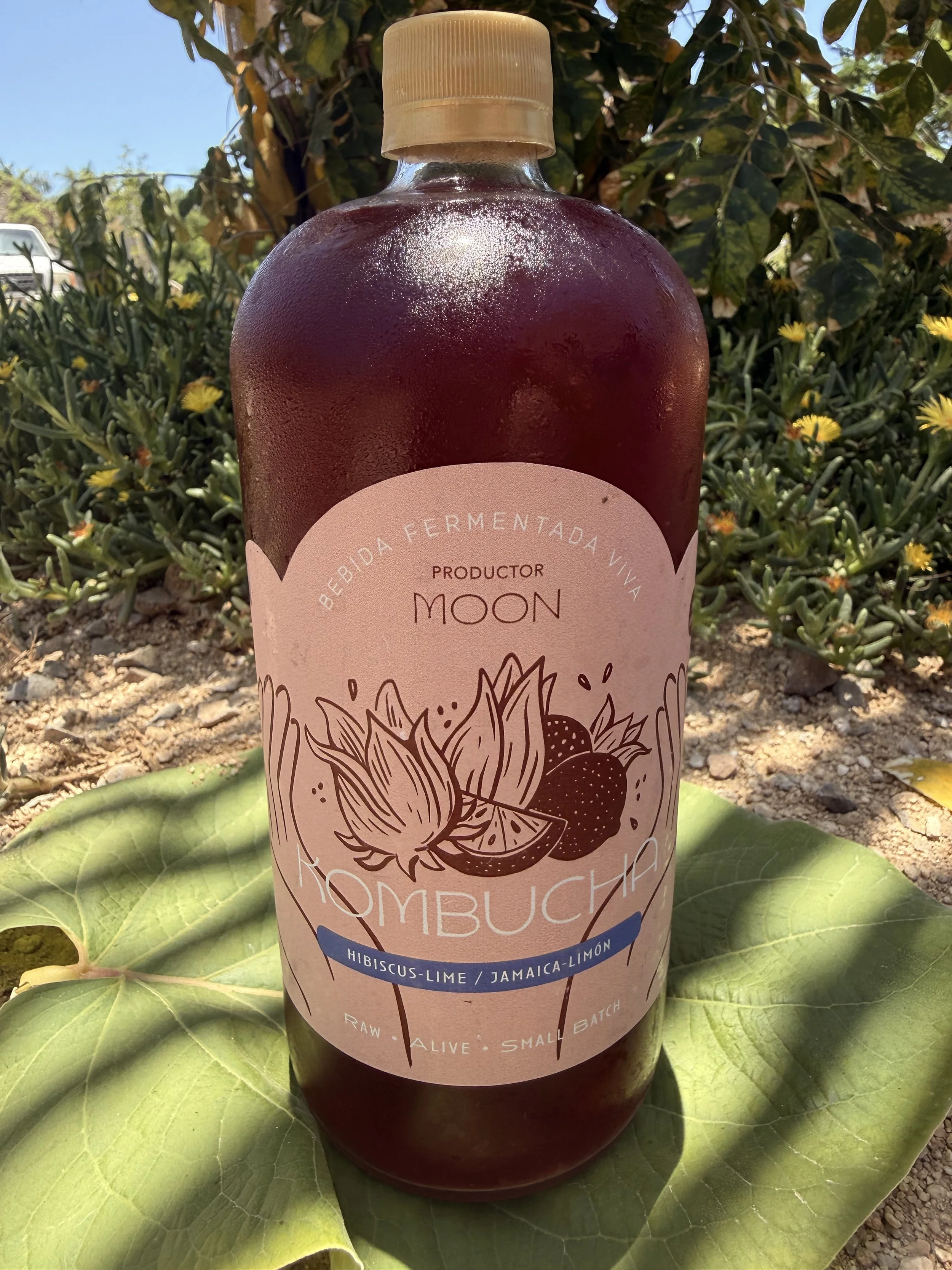 Kombucha – Hibiscus-Lime / Jamaica-Limon (1 L)
