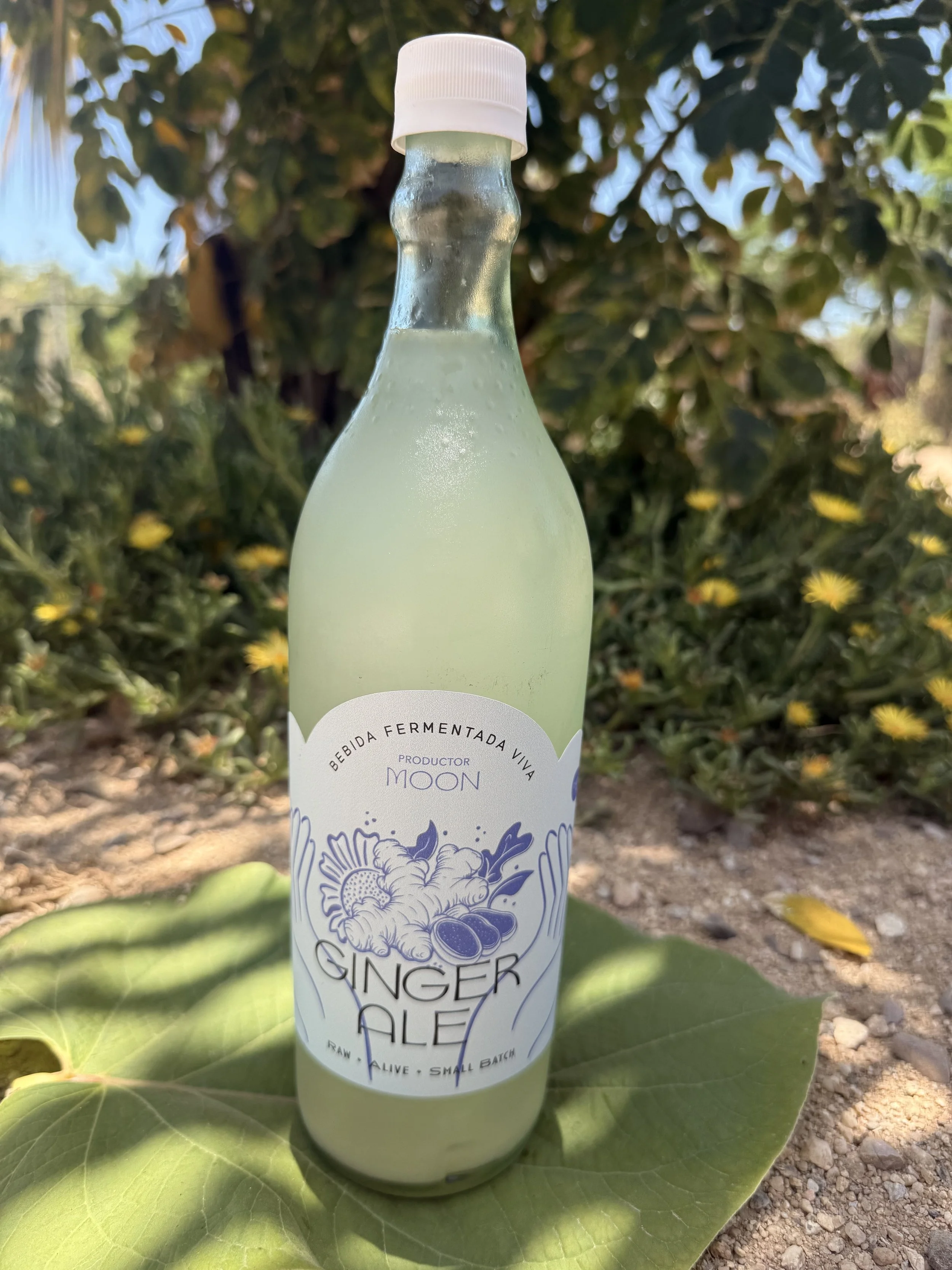 Ginger Ale (750ml)