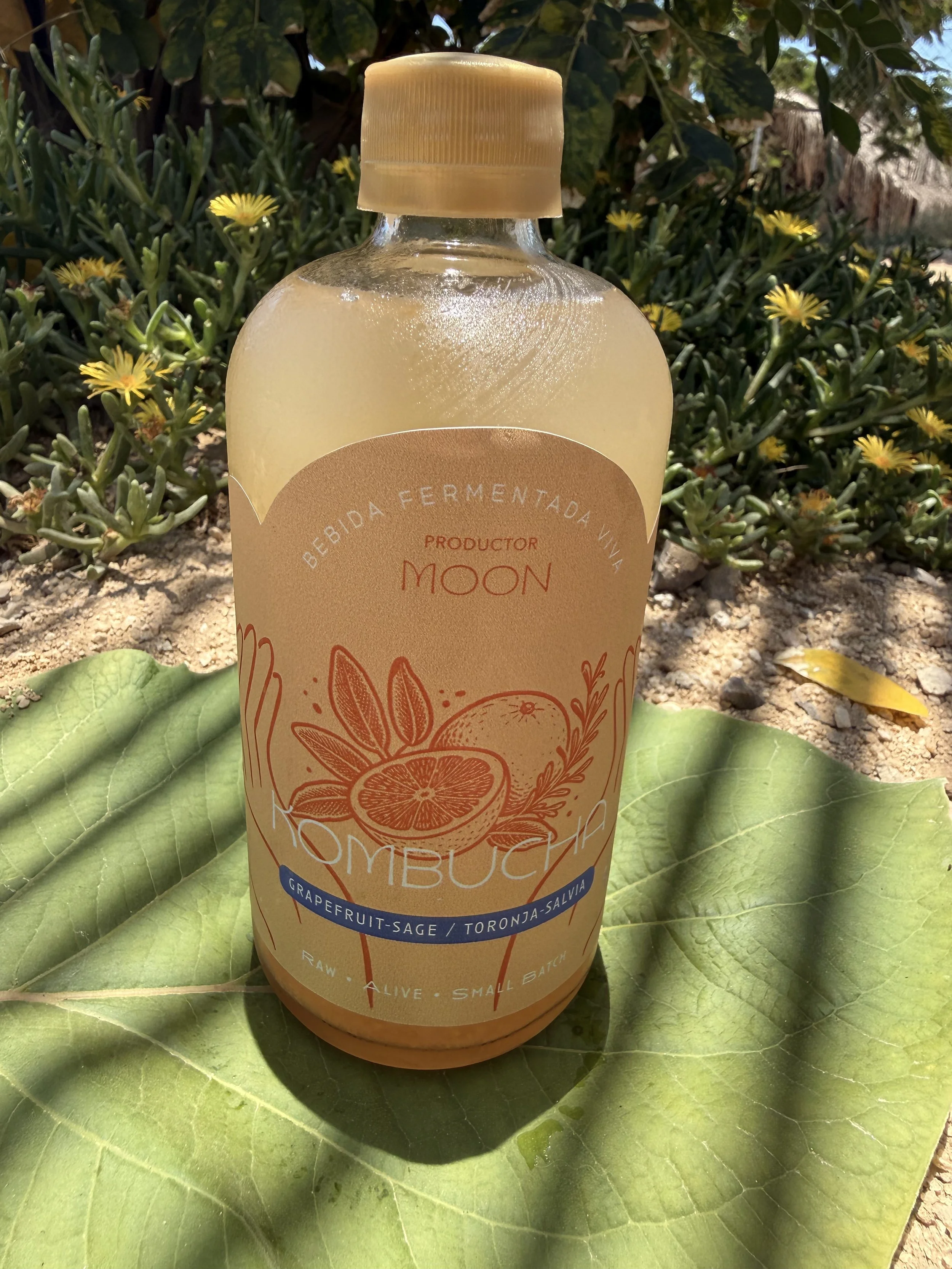 Kombucha – Grapefruit-Sage/Toronja-Salvia (450ml)