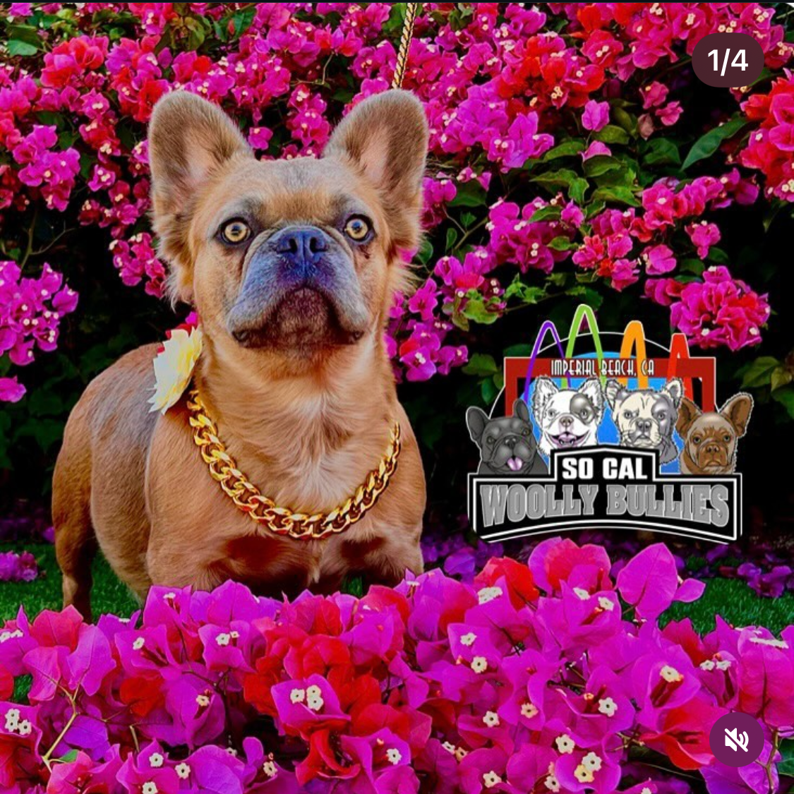 Screenshot 2026-03-25 at 5.31.42 PM.png