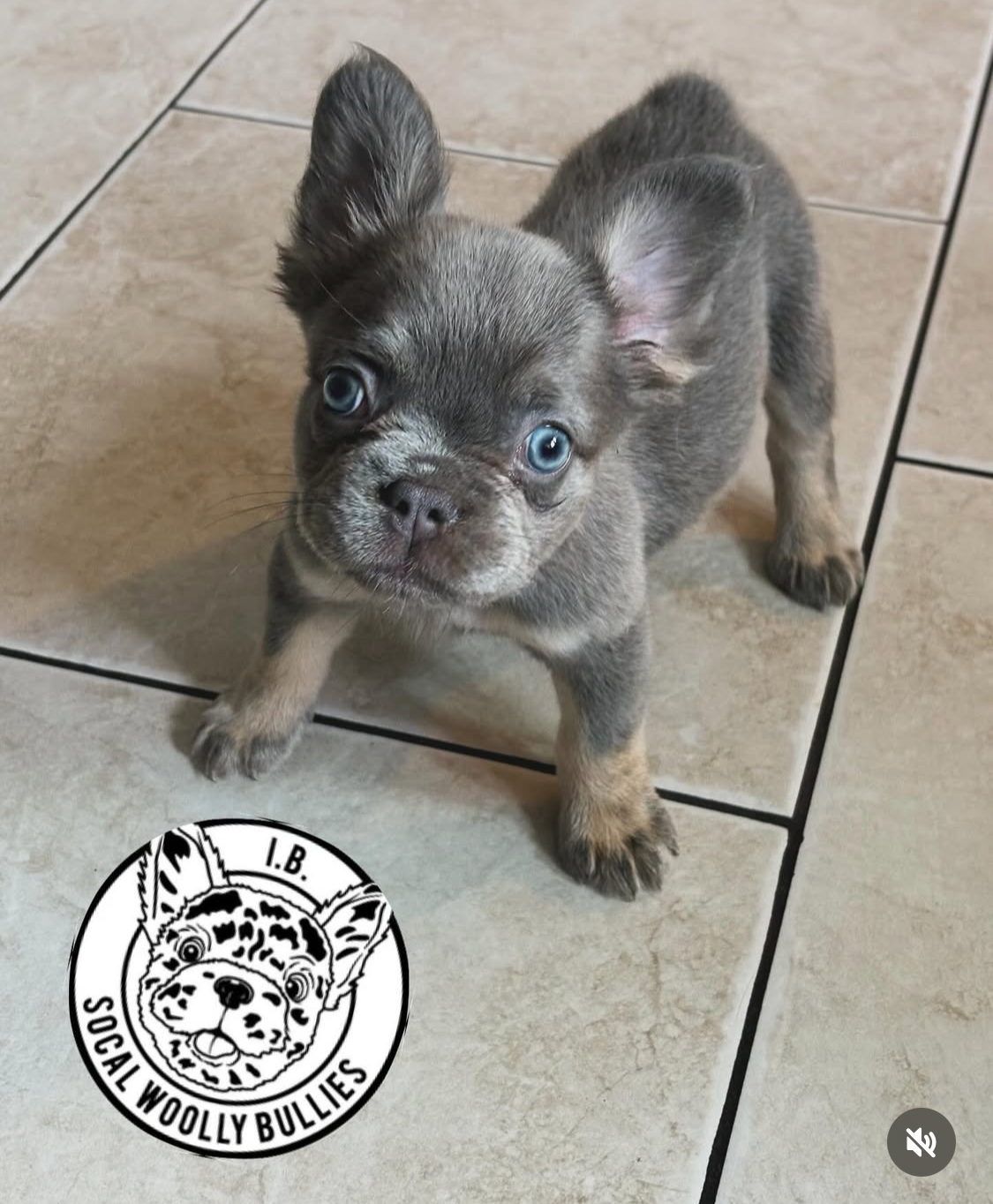 Screenshot 2026-03-25 at 5.58.27 PM.png