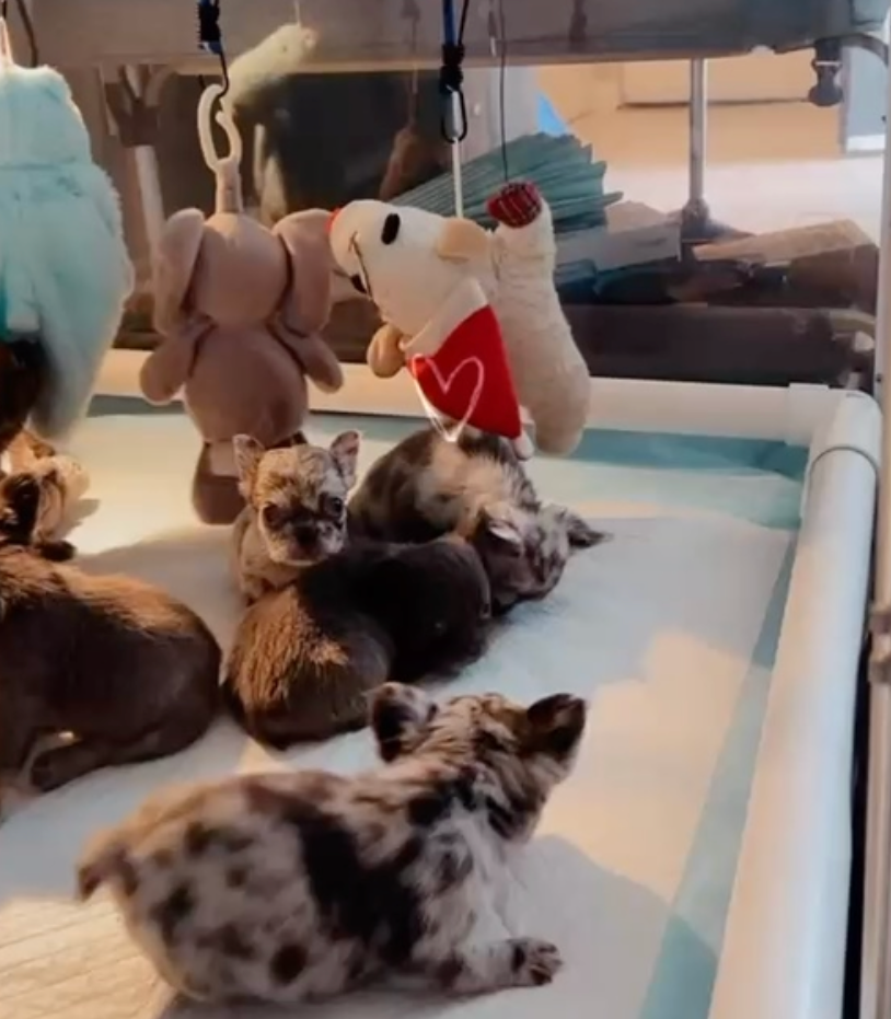 Screenshot 2026-03-25 at 5.41.51 PM.png