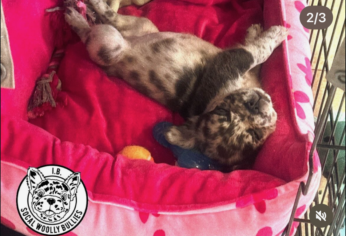 Screenshot 2026-03-25 at 5.57.51 PM.png