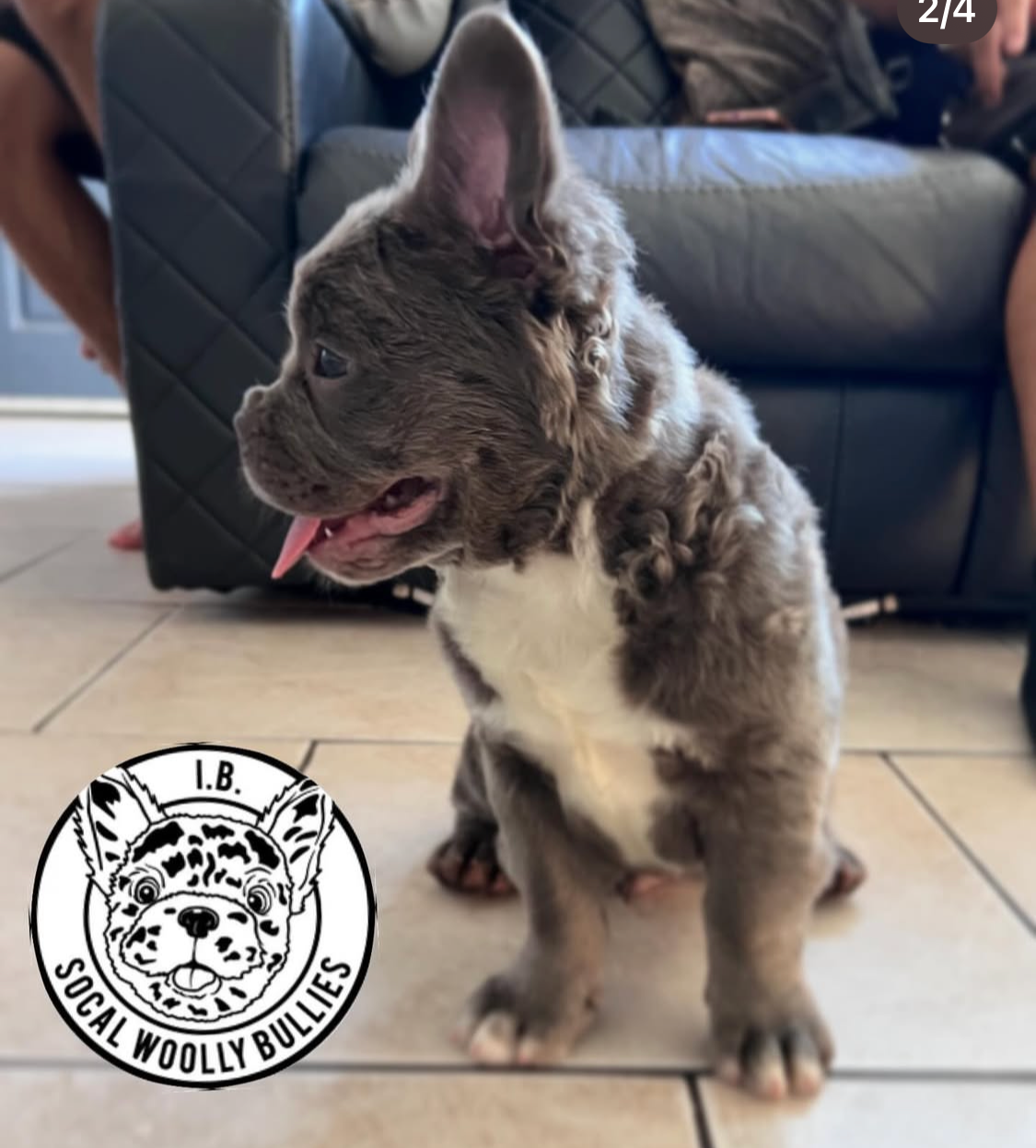 Screenshot 2026-03-25 at 5.59.05 PM.png