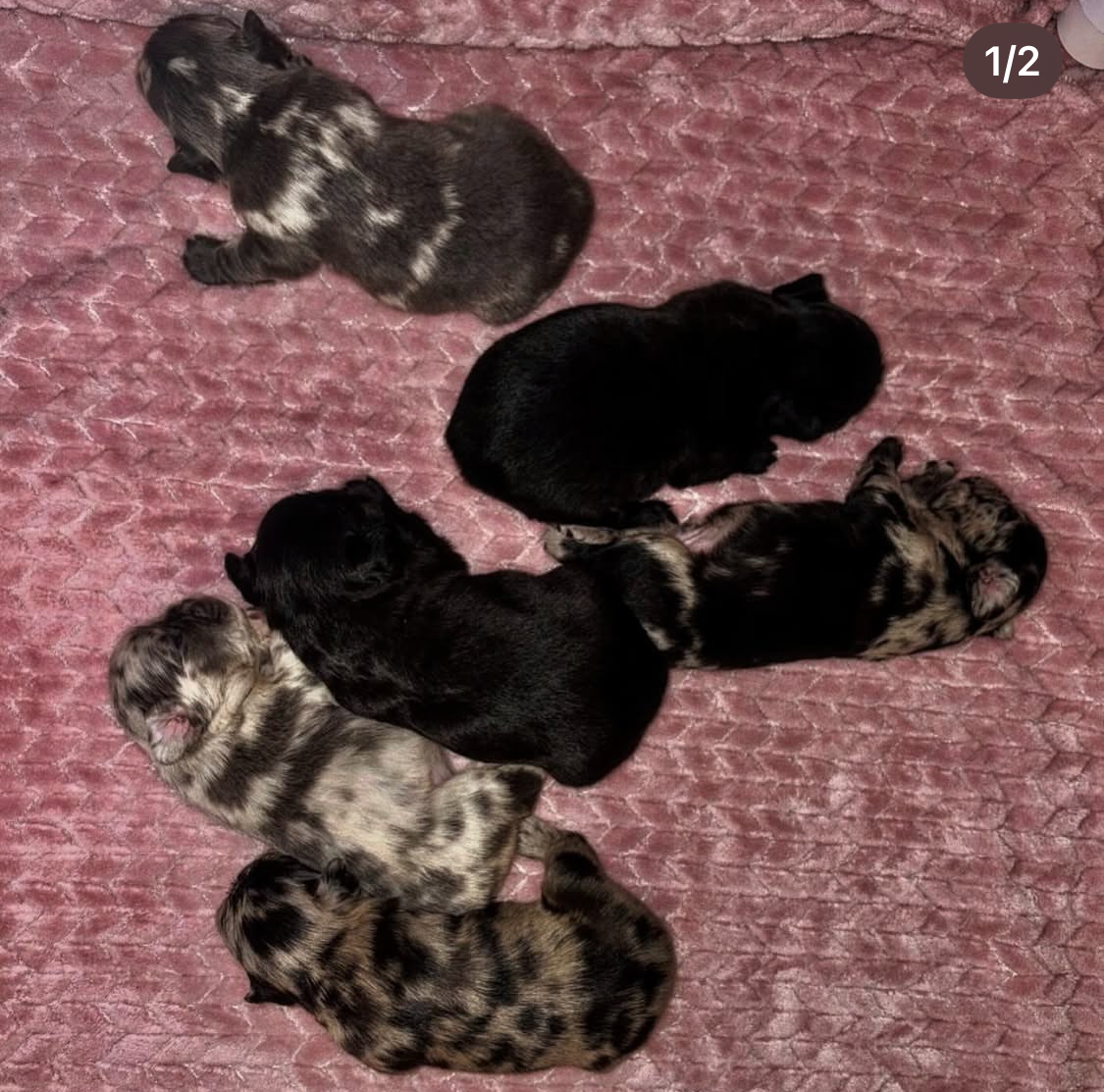 Screenshot 2026-03-25 at 5.35.22 PM.png