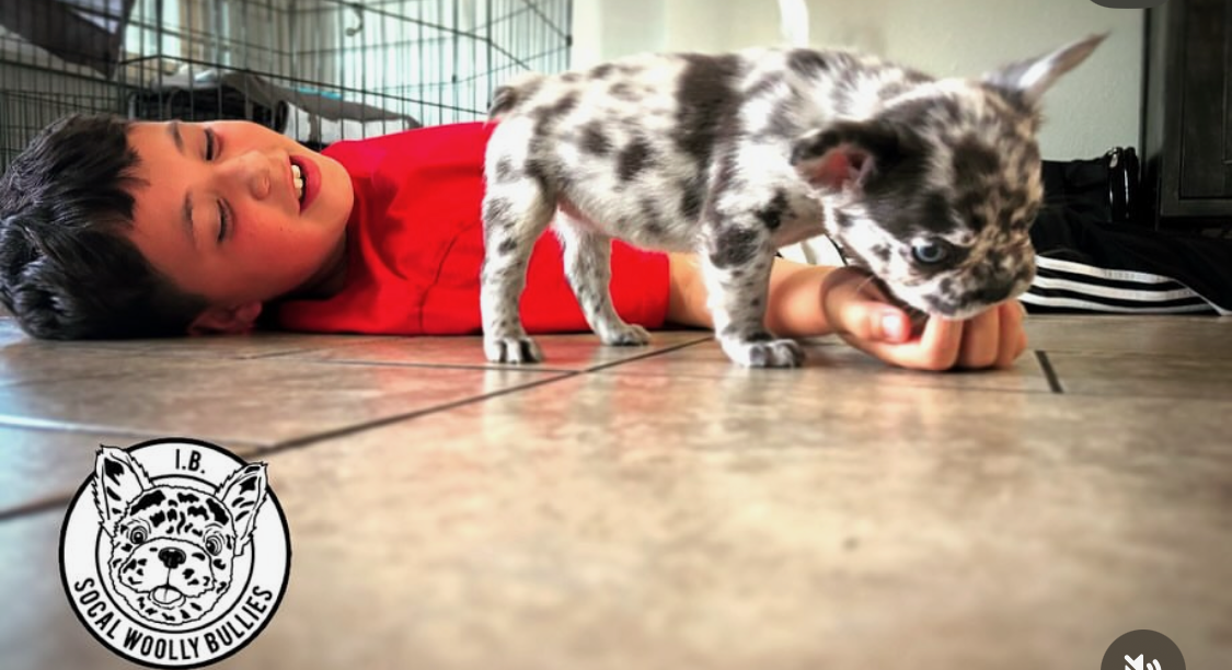 Screenshot 2026-03-25 at 5.57.32 PM.png