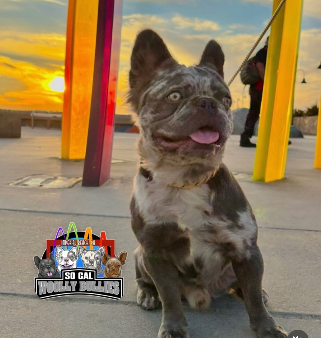 Screenshot 2026-03-25 at 5.32.08 PM.png