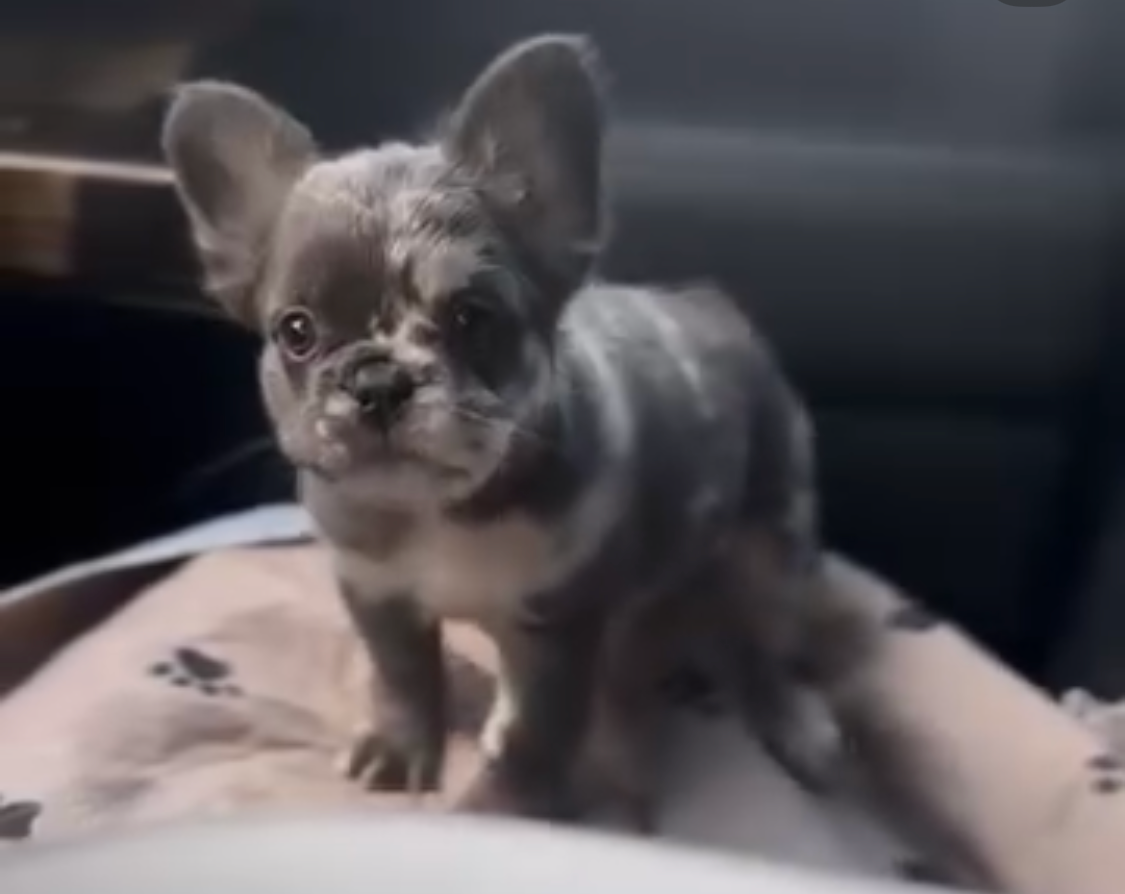 Screenshot 2026-03-25 at 6.00.03 PM.png