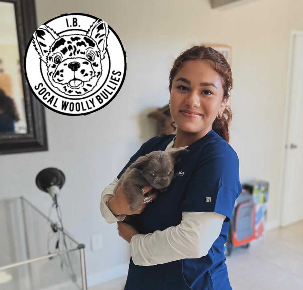 Screenshot 2026-03-25 at 5.34.40 PM.png