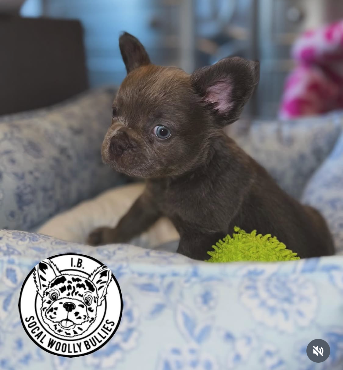 Screenshot 2026-03-25 at 5.58.06 PM.png