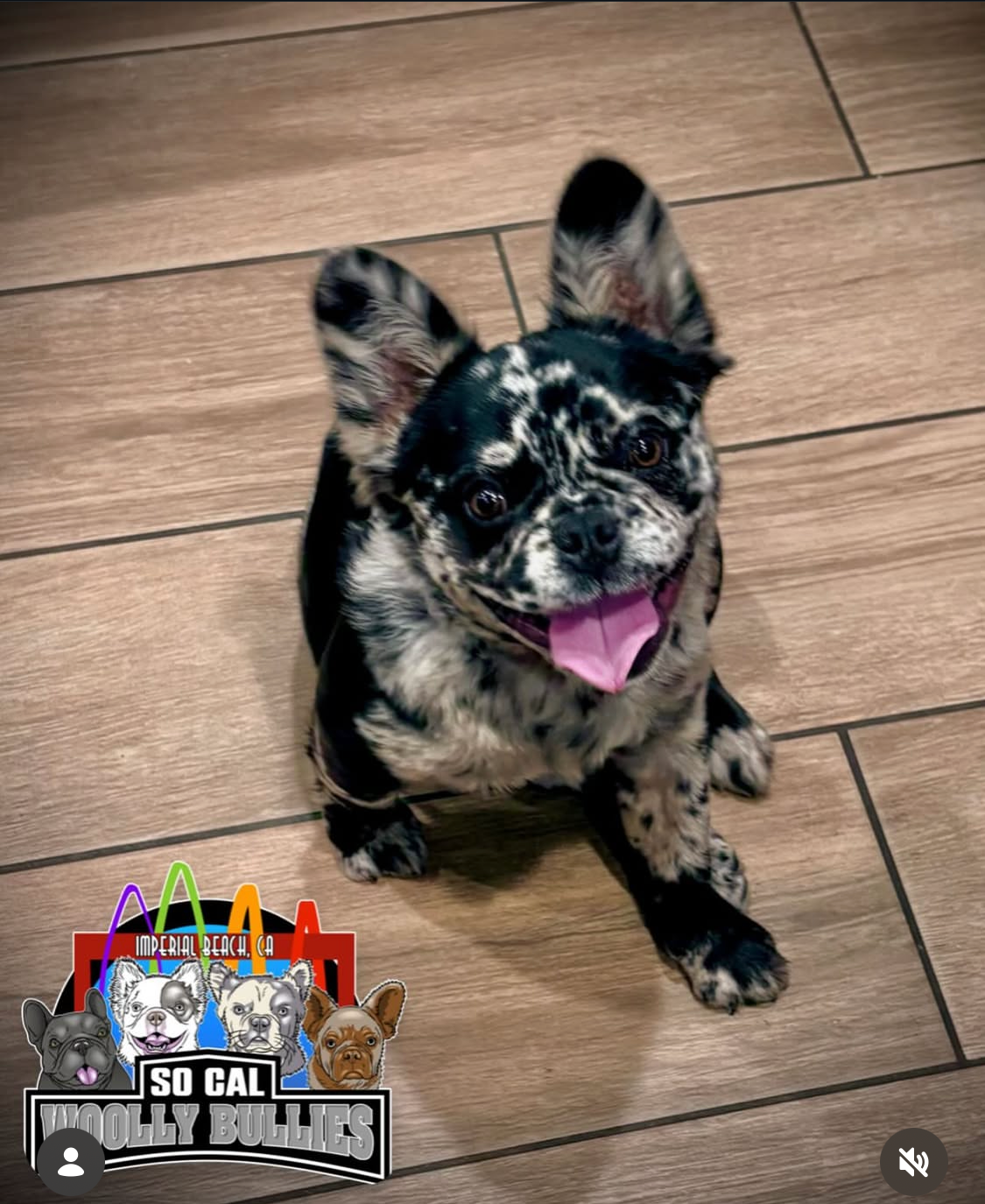 Screenshot 2026-03-25 at 5.57.08 PM.png