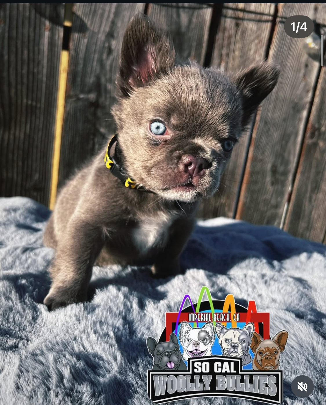 Screenshot 2026-03-25 at 5.56.45 PM.png