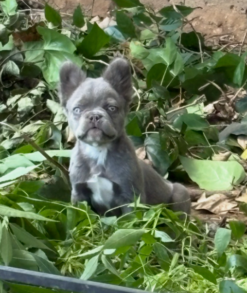 Screenshot 2026-03-25 at 5.46.45 PM.png