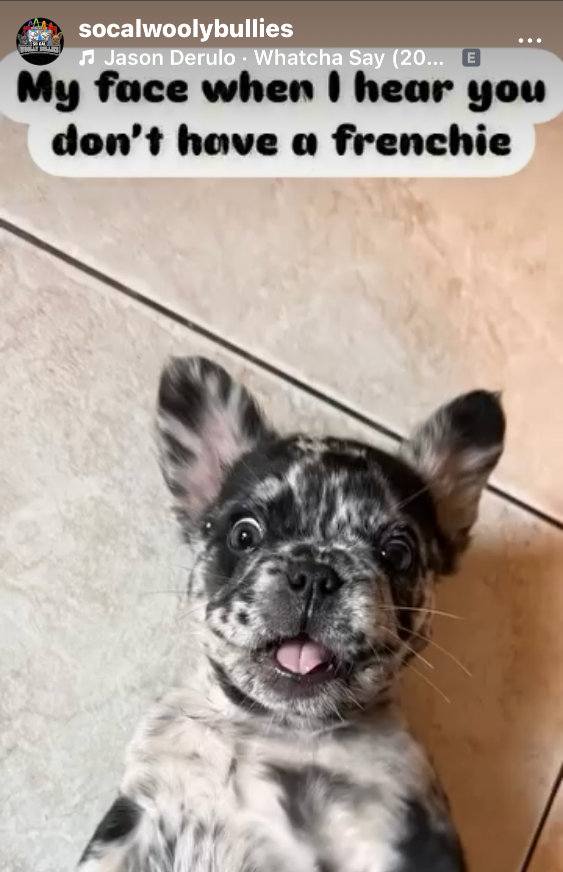 Screenshot 2026-03-25 at 5.56.11 PM.png