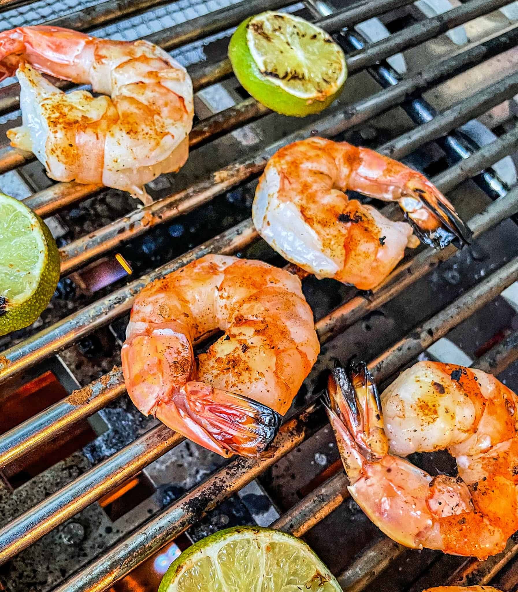 Shrimp