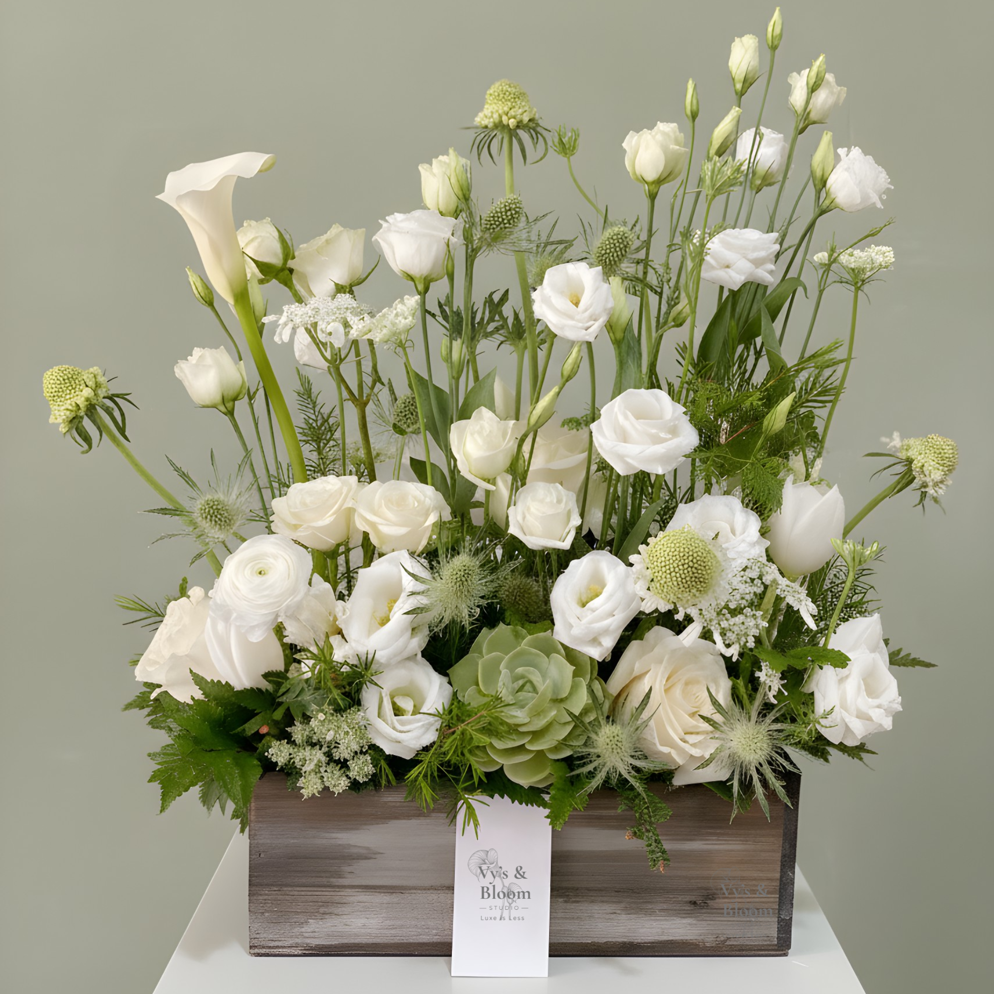 MSquareVbloom (42).png