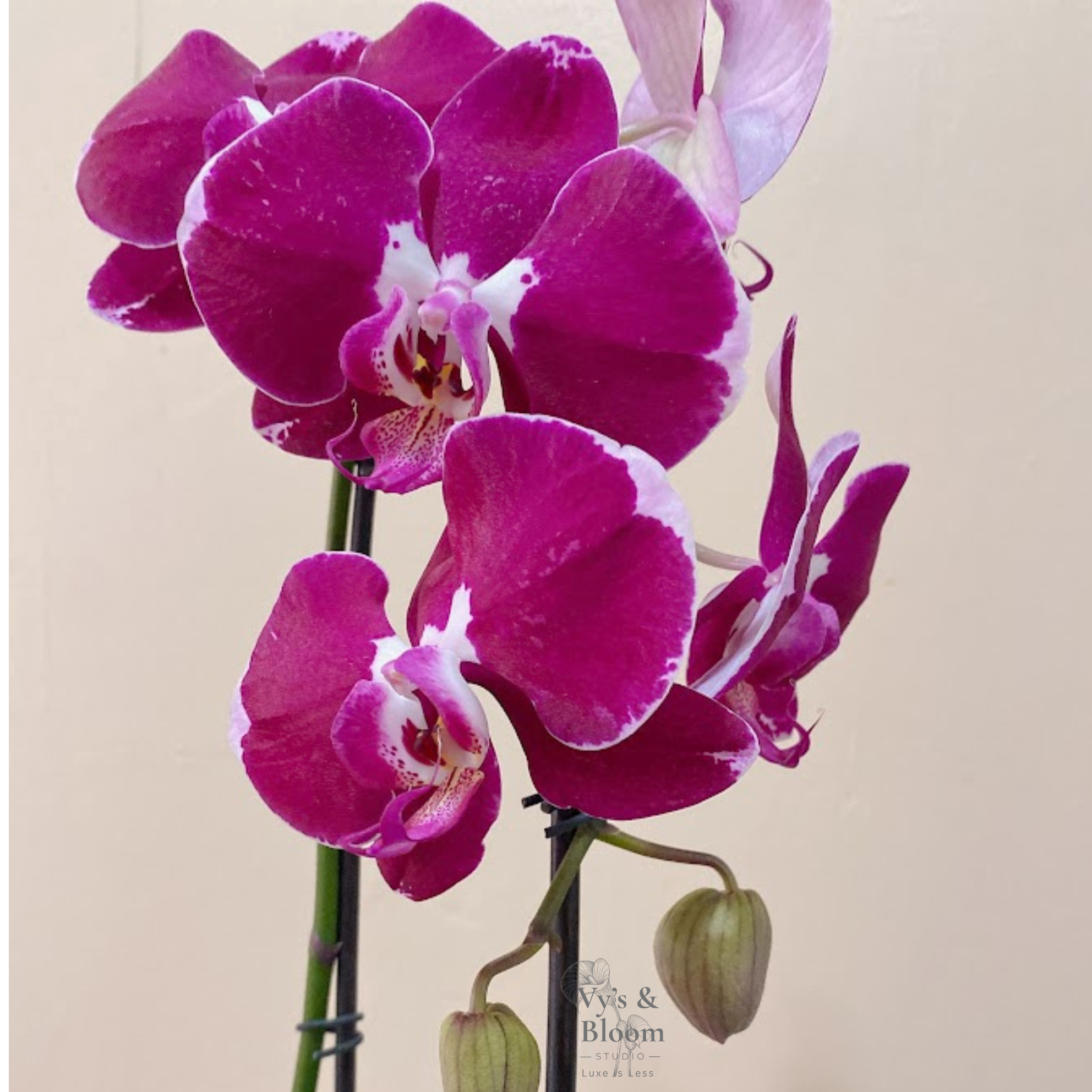 Designer’s Choice Bouquet (5).png