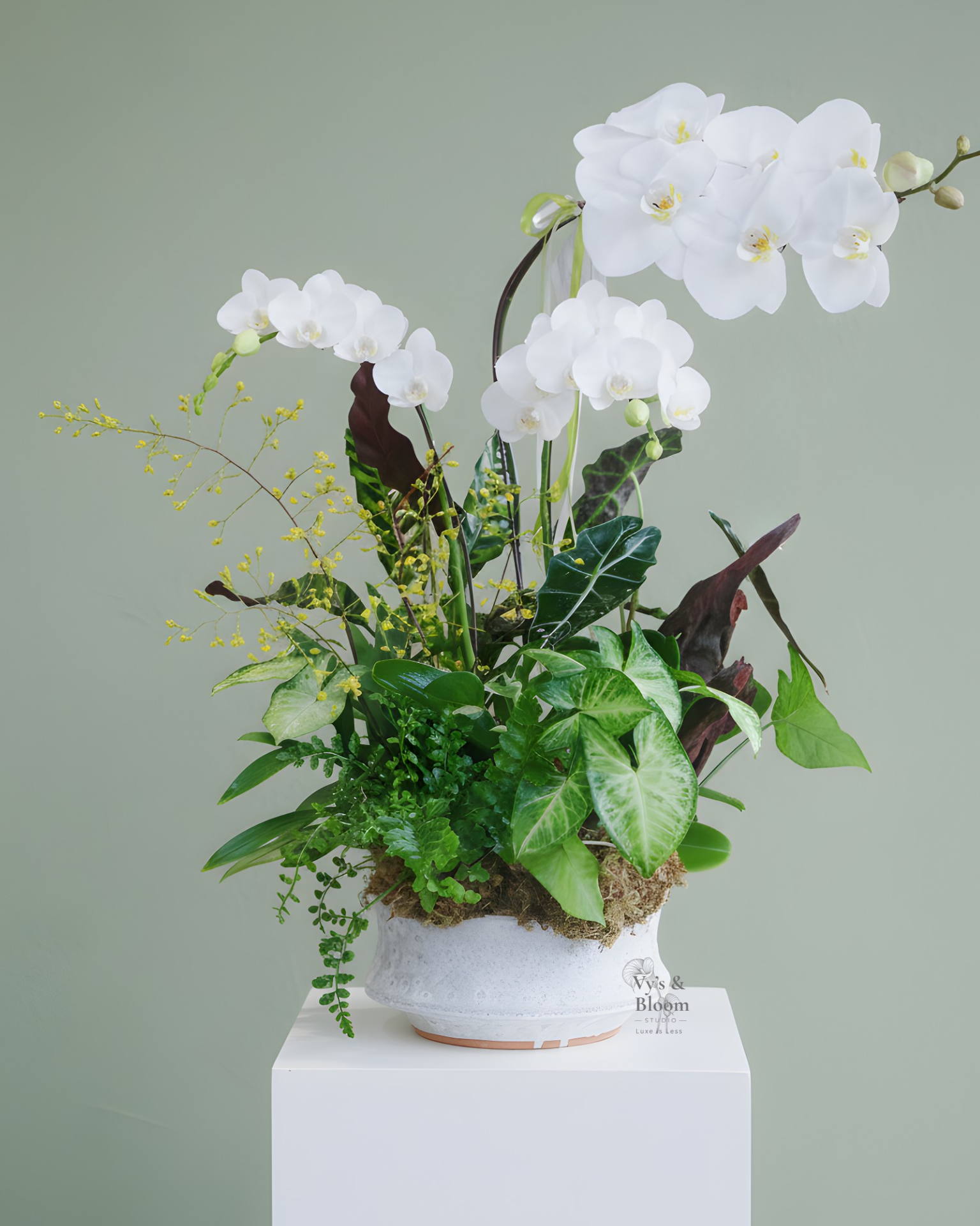 Untitled design (28).png