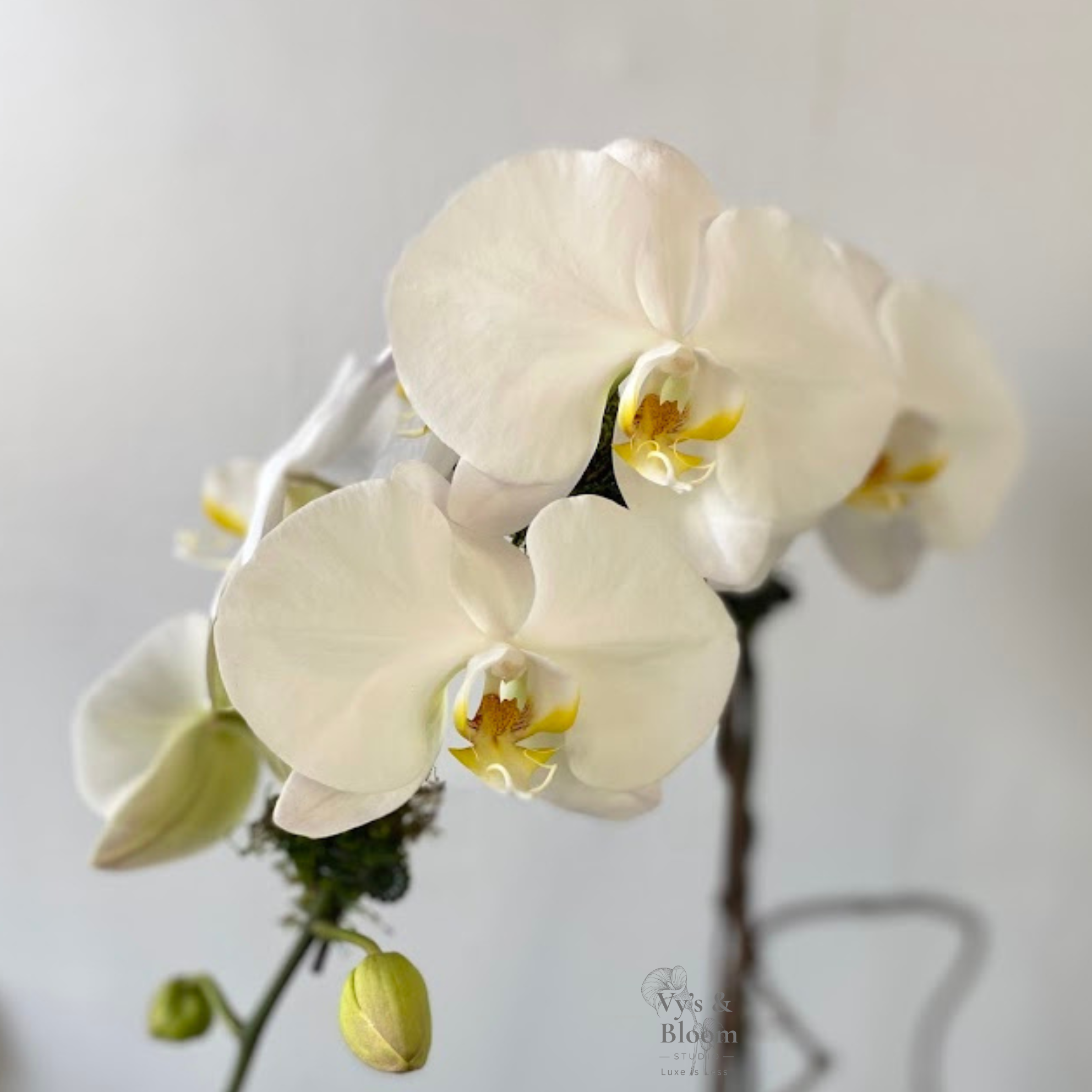 Designer’s Choice Bouquet (6).png