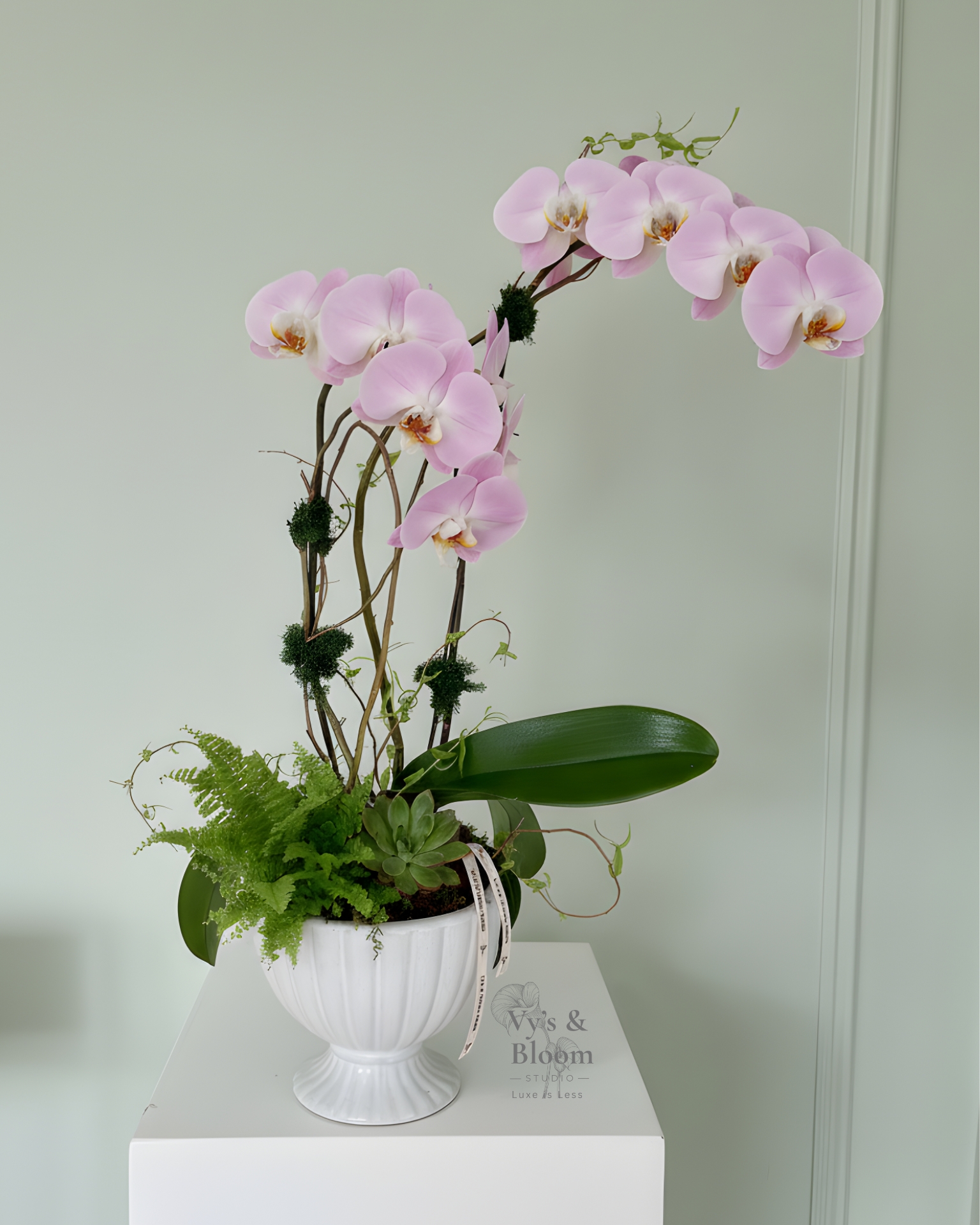 Signature Orchid Planter