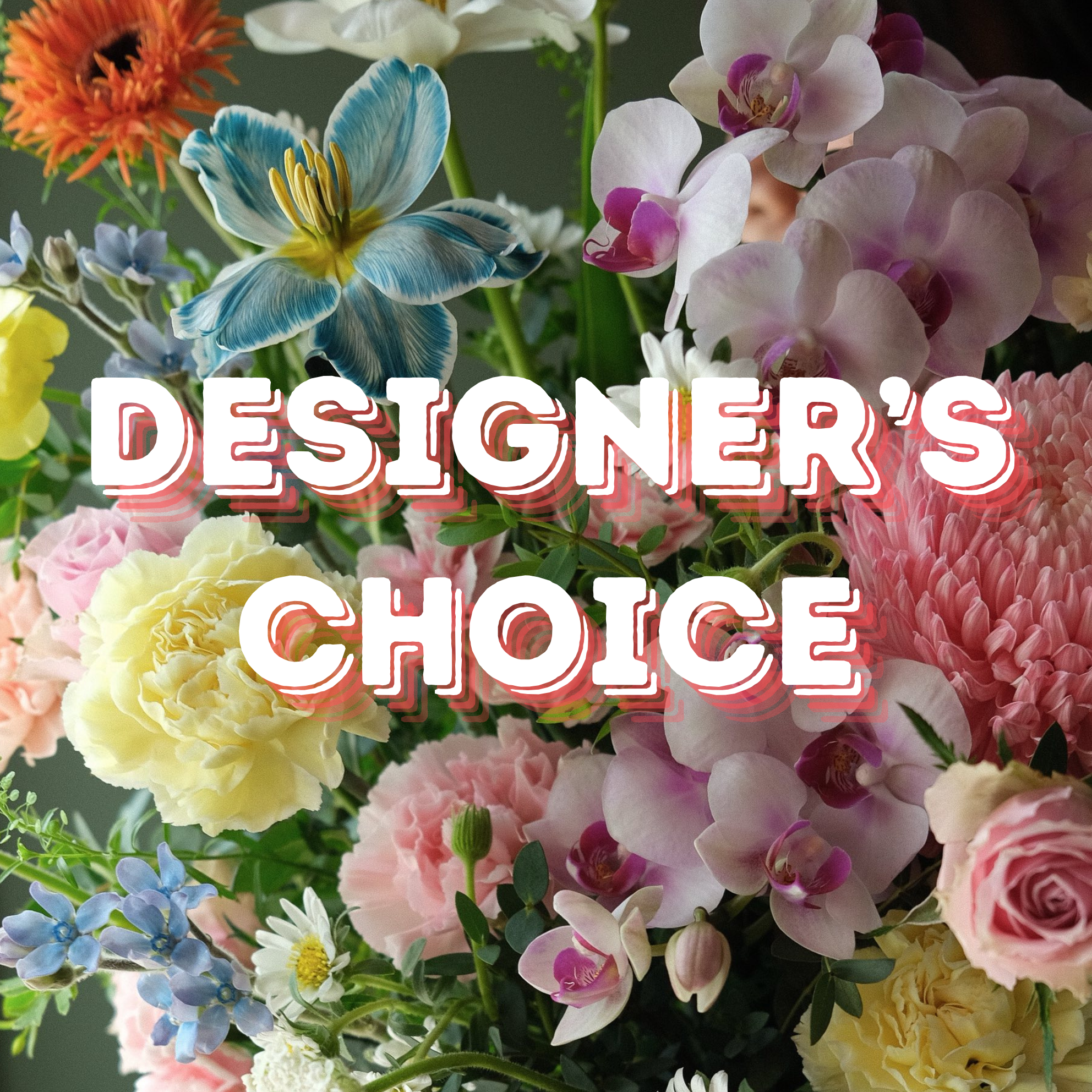 Designer’s Choice Arrangement