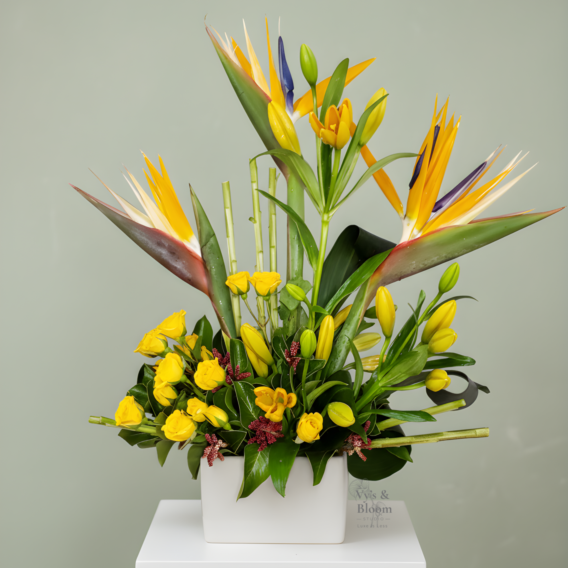 MSquareVbloom (29).png