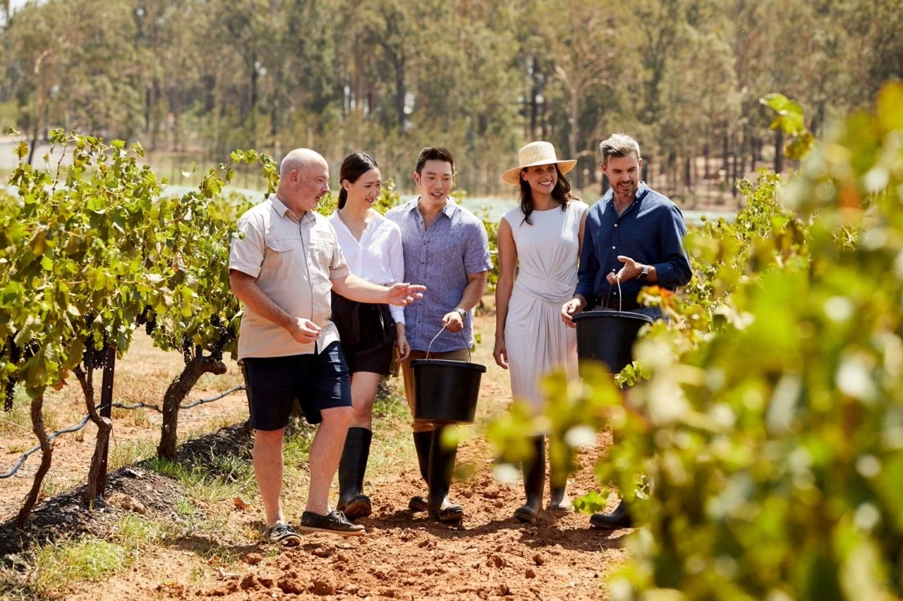 Wineries Near Cessnock Hotel&nbsp;