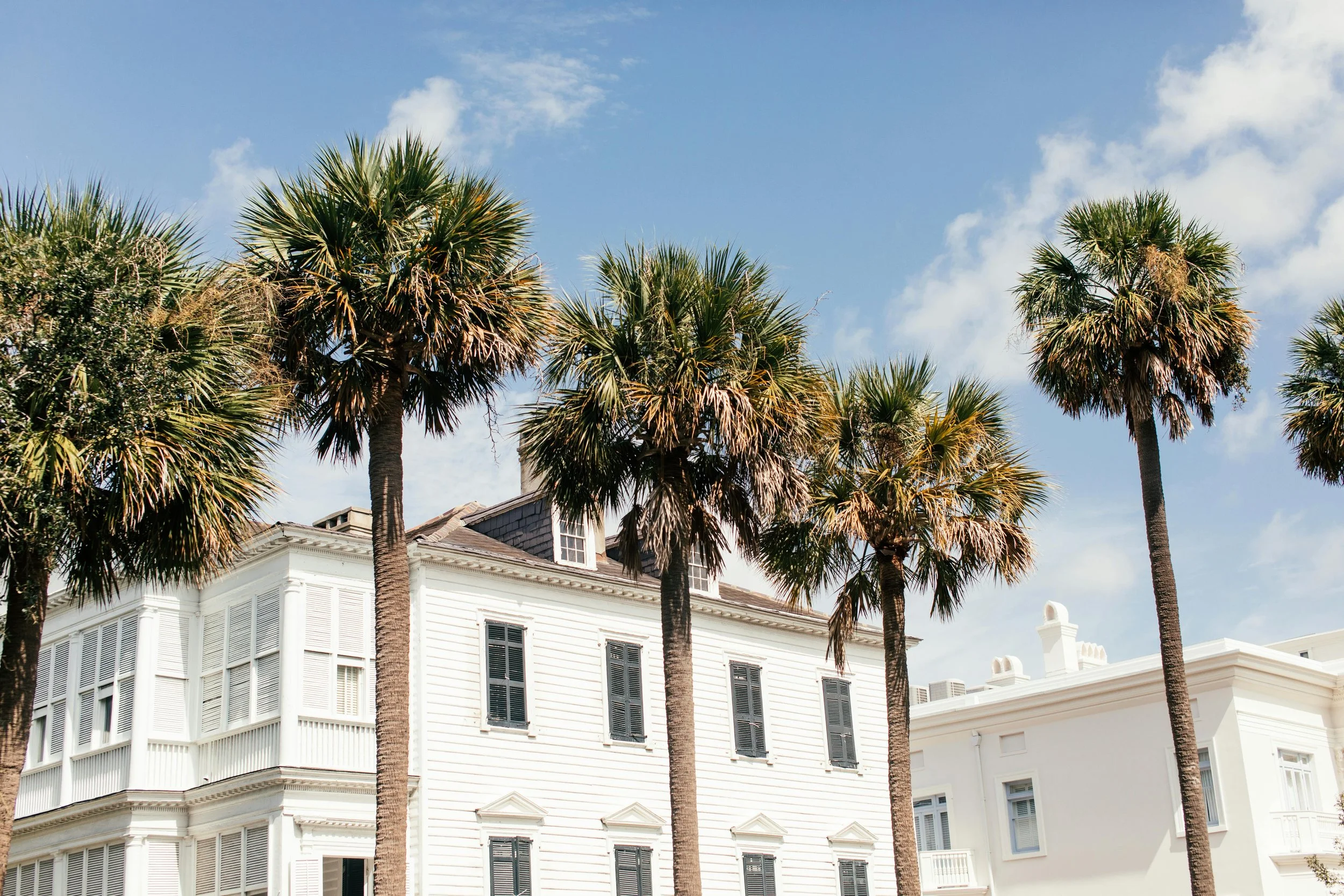 Tall palm trees in front of white residential buildings with black shutters under a blue sky with clouds.