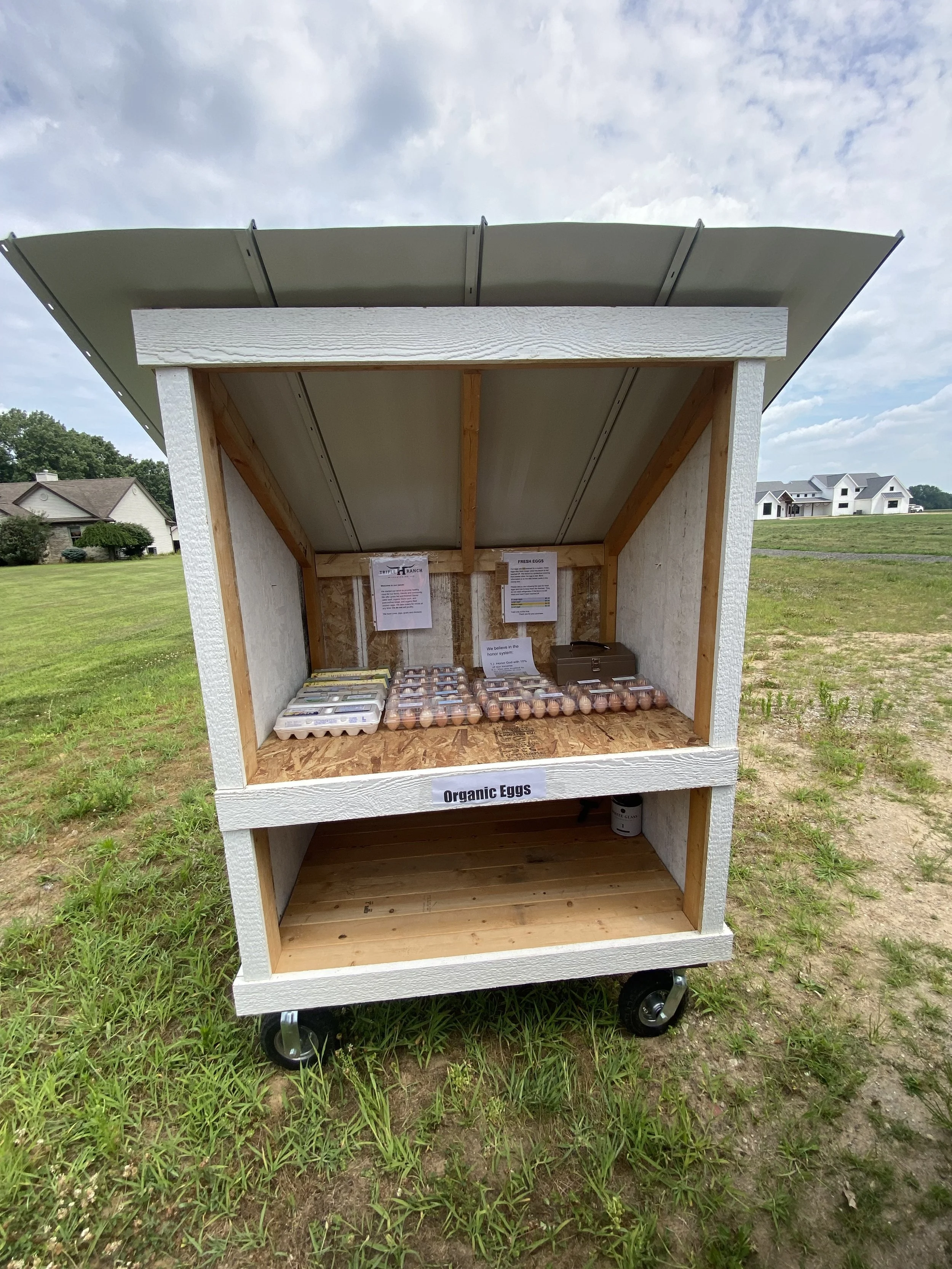 A roadside egg stand with a sign that says 'Organic Eggs' at the bottom, containing cartons of eggs and informational notices inside. It is set outdoors on grass with houses visible in the background under a cloudy sky.